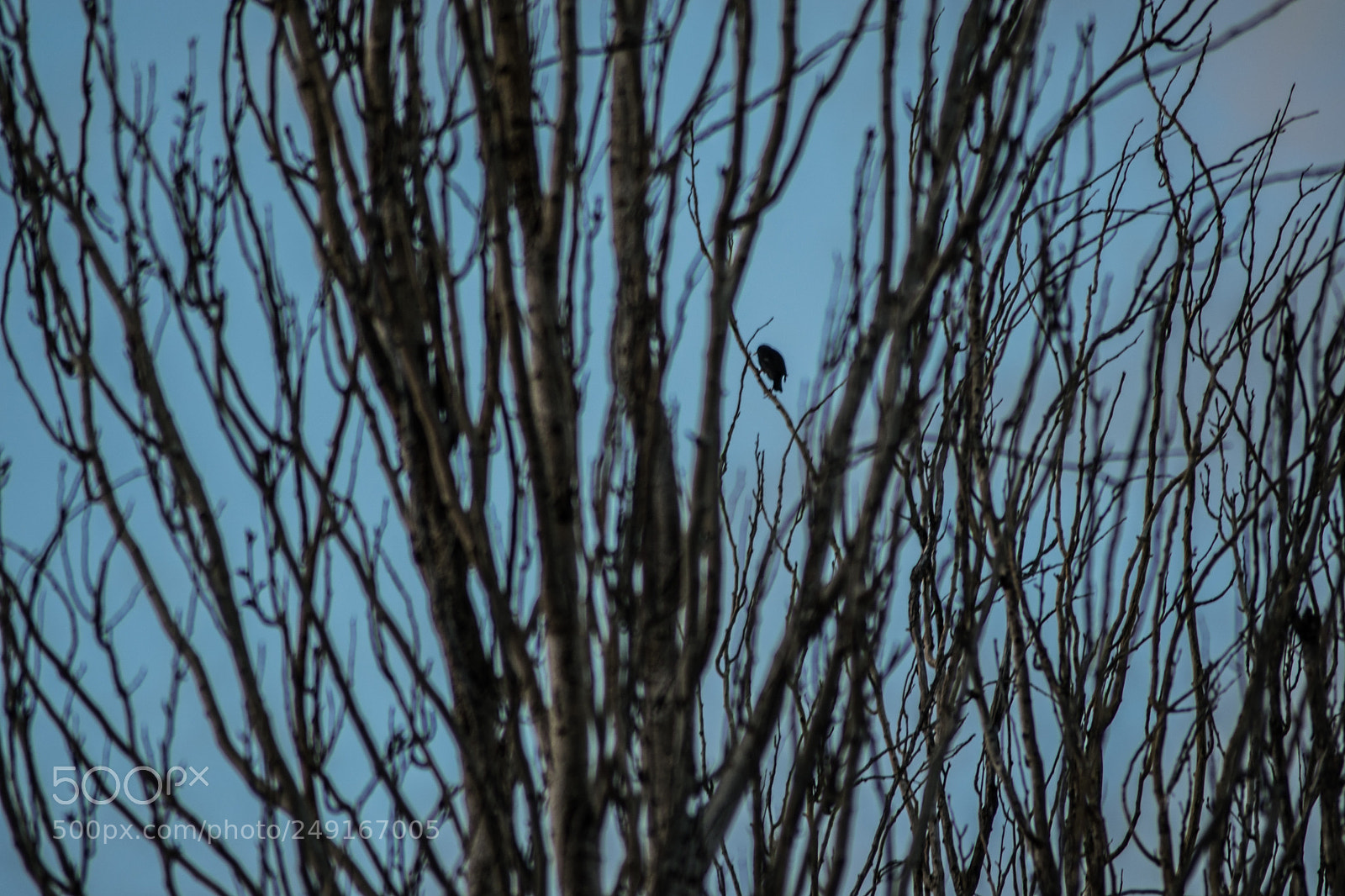 Nikon D5300 sample photo. Untitled photography