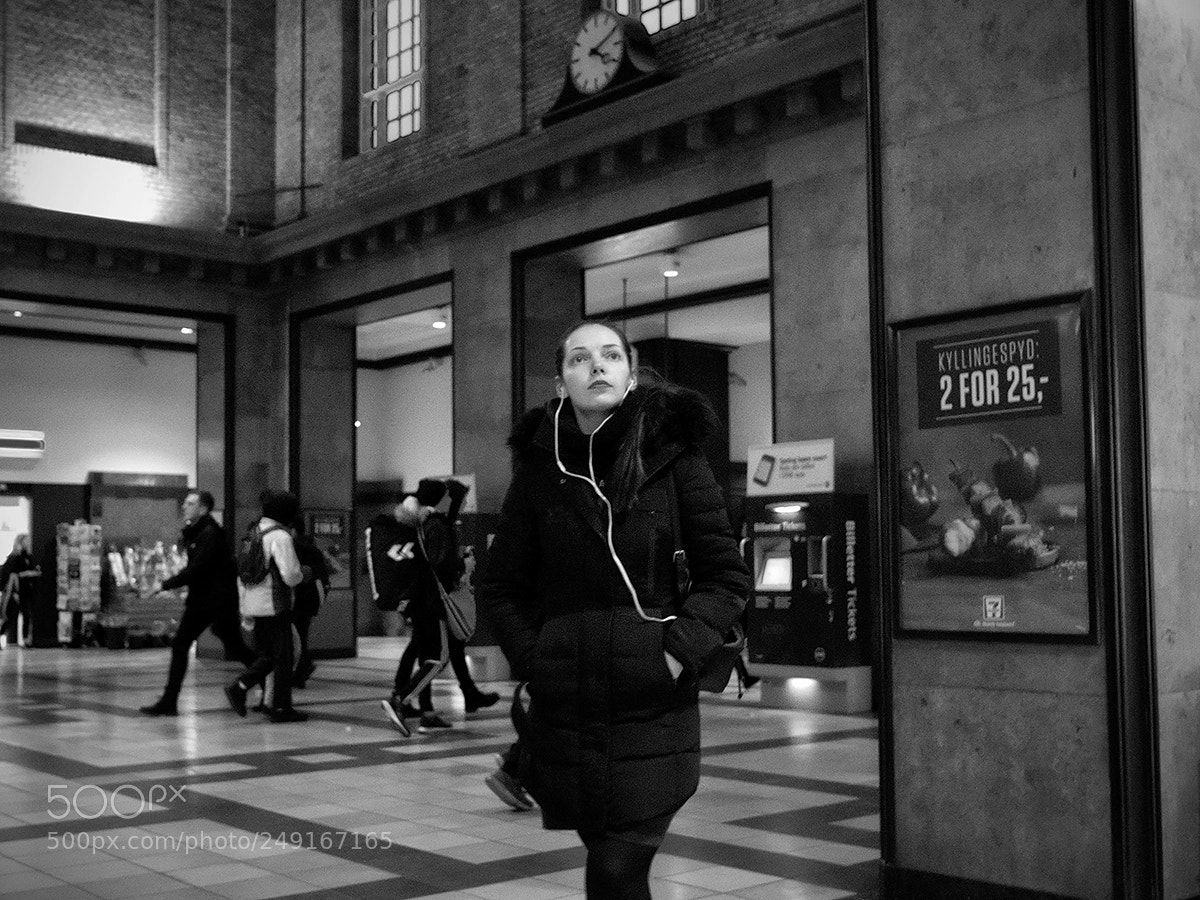 Fujifilm X-Pro2 sample photo. Looking up 5 photography