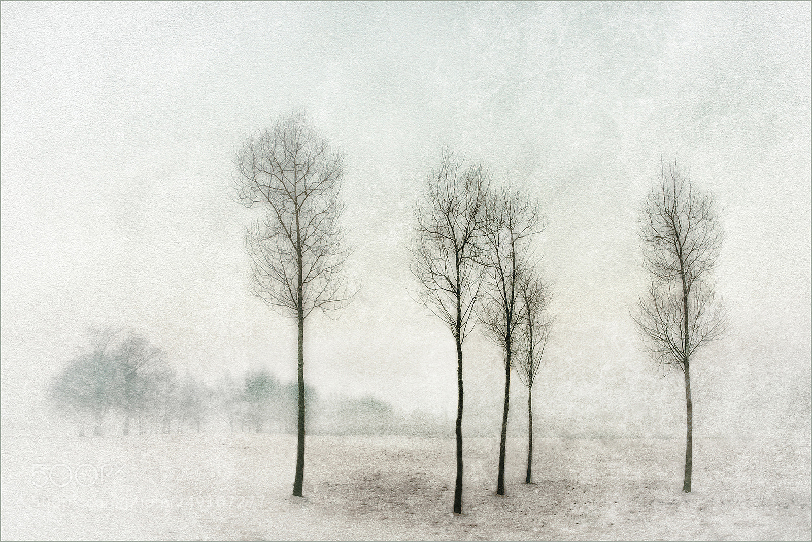 Canon EOS 40D sample photo. Dead of winter photography