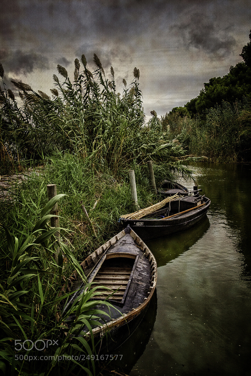 Nikon D800 sample photo. On the channel photography