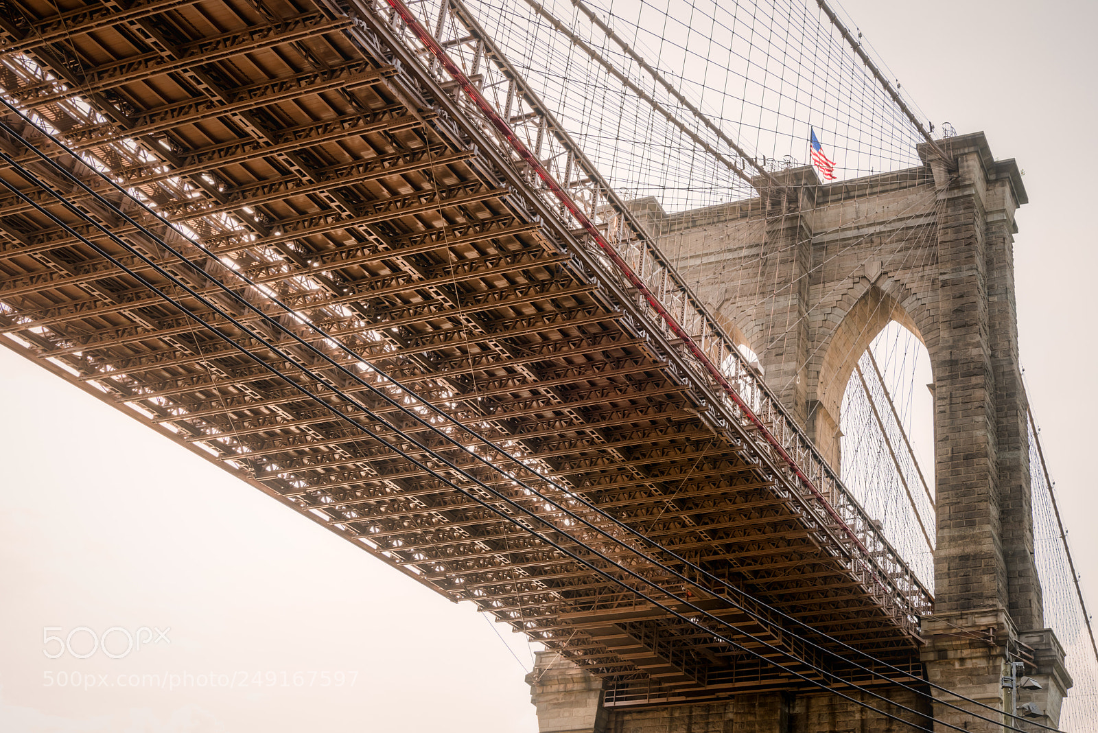 Nikon D810 sample photo. Point of view photography