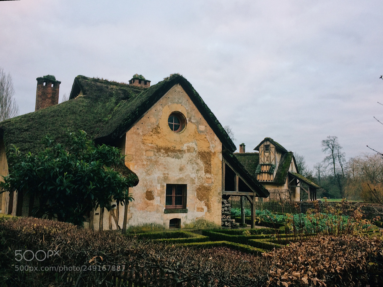 Apple iPhone 5s sample photo. Alais du versailes 12/2017 photography