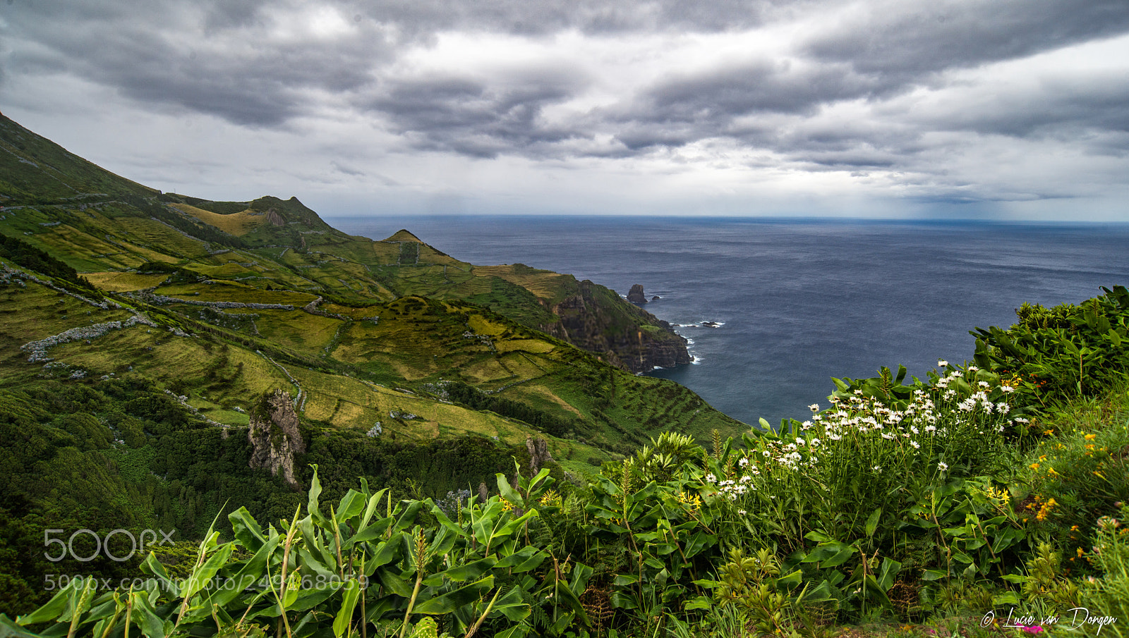 Nikon D610 sample photo. Santa cruz das flores photography