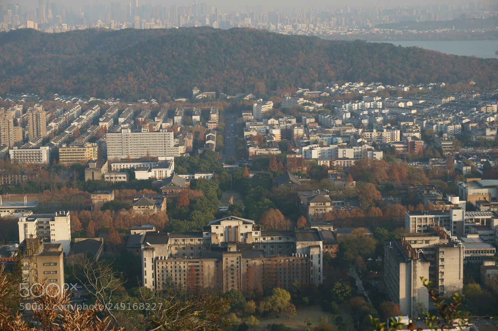 Sony a5100 sample photo. Autumn in zhejiang university photography