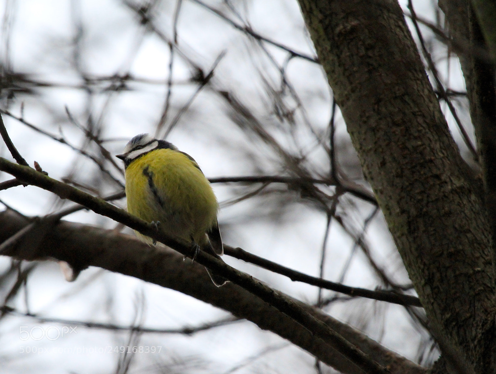 Canon EOS 7D sample photo. :) photography