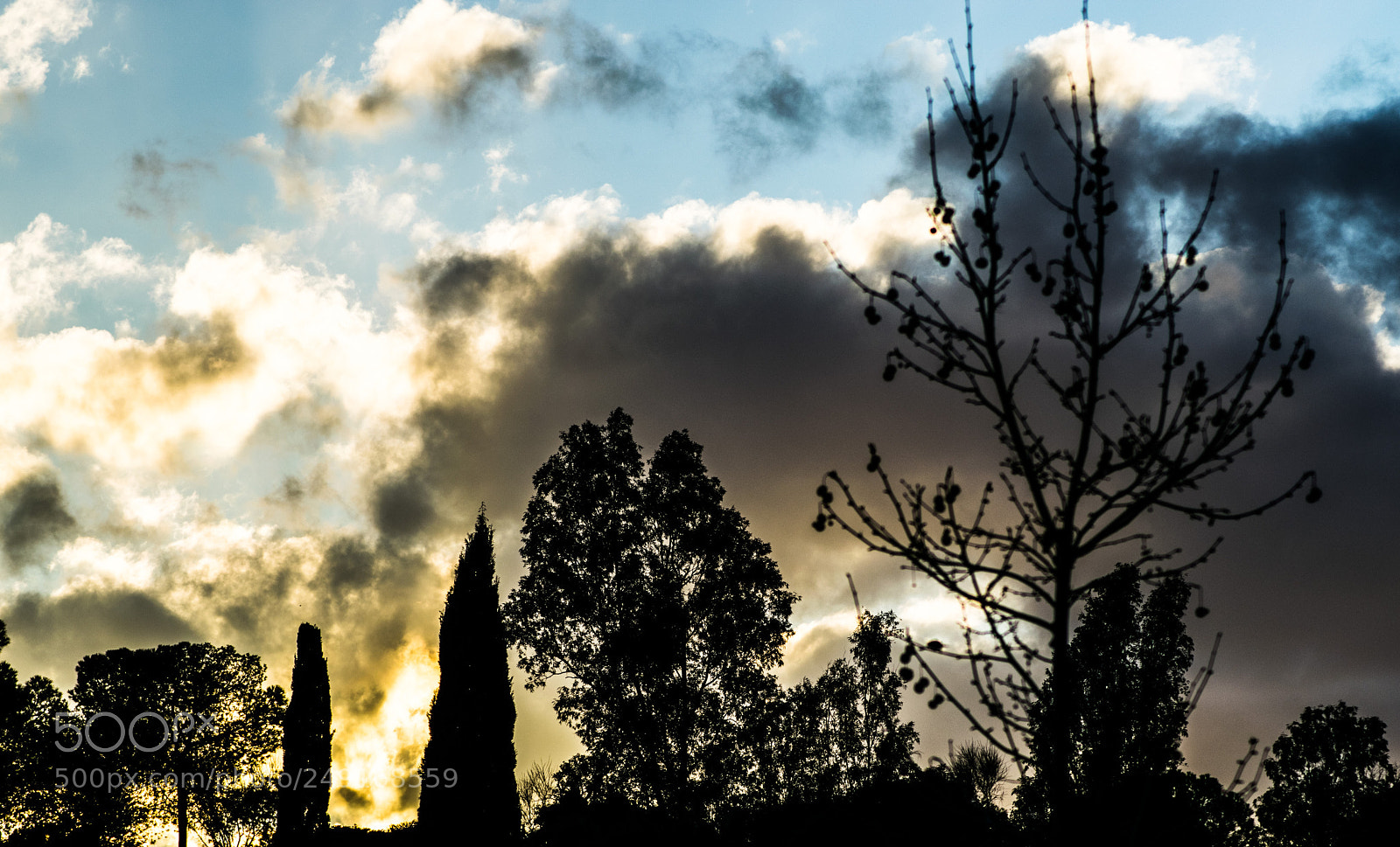 Nikon D5300 sample photo. Shadows photography