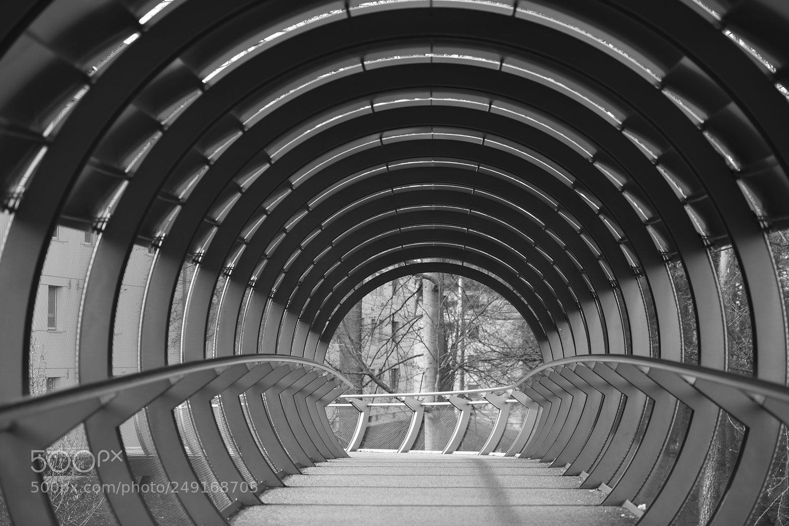 Nikon D610 sample photo. B&w path photography