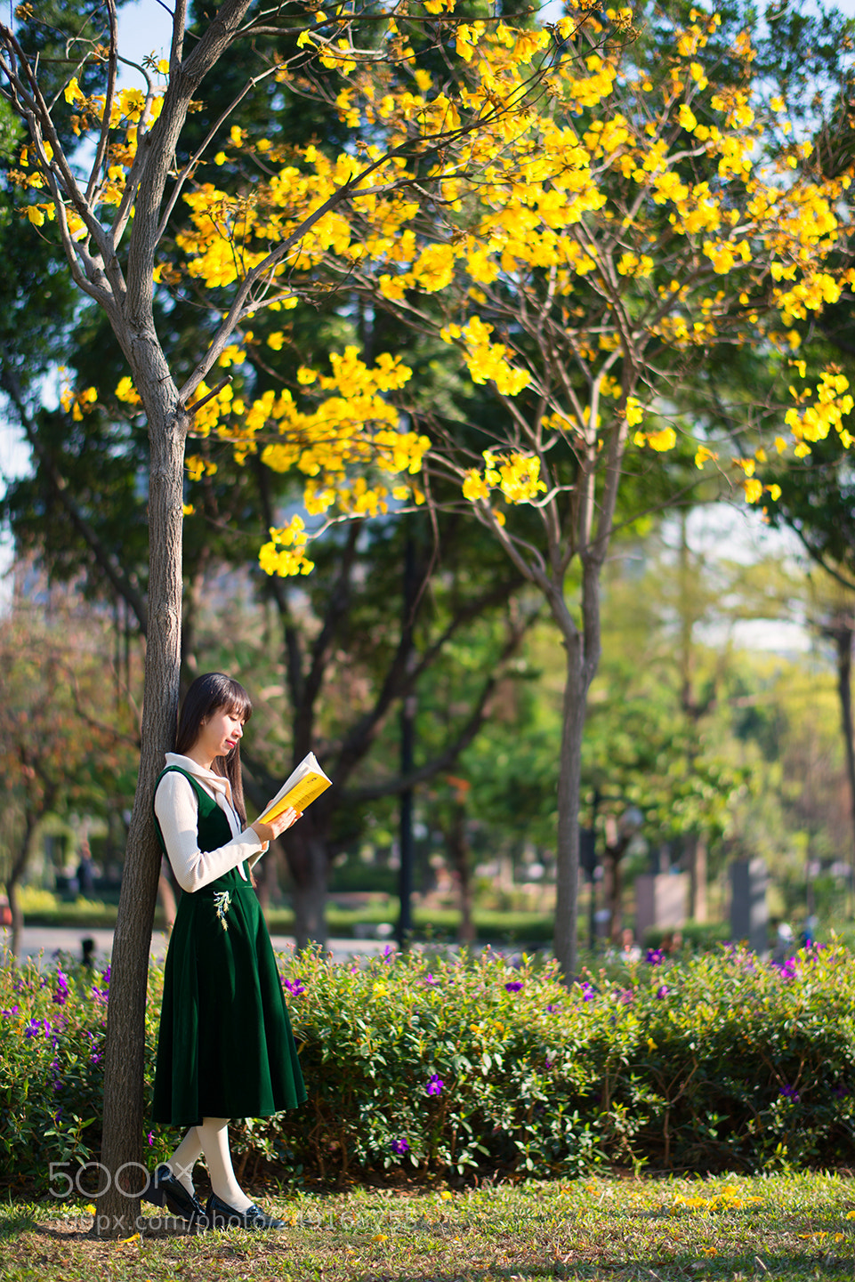 Nikon D800E sample photo. L photography