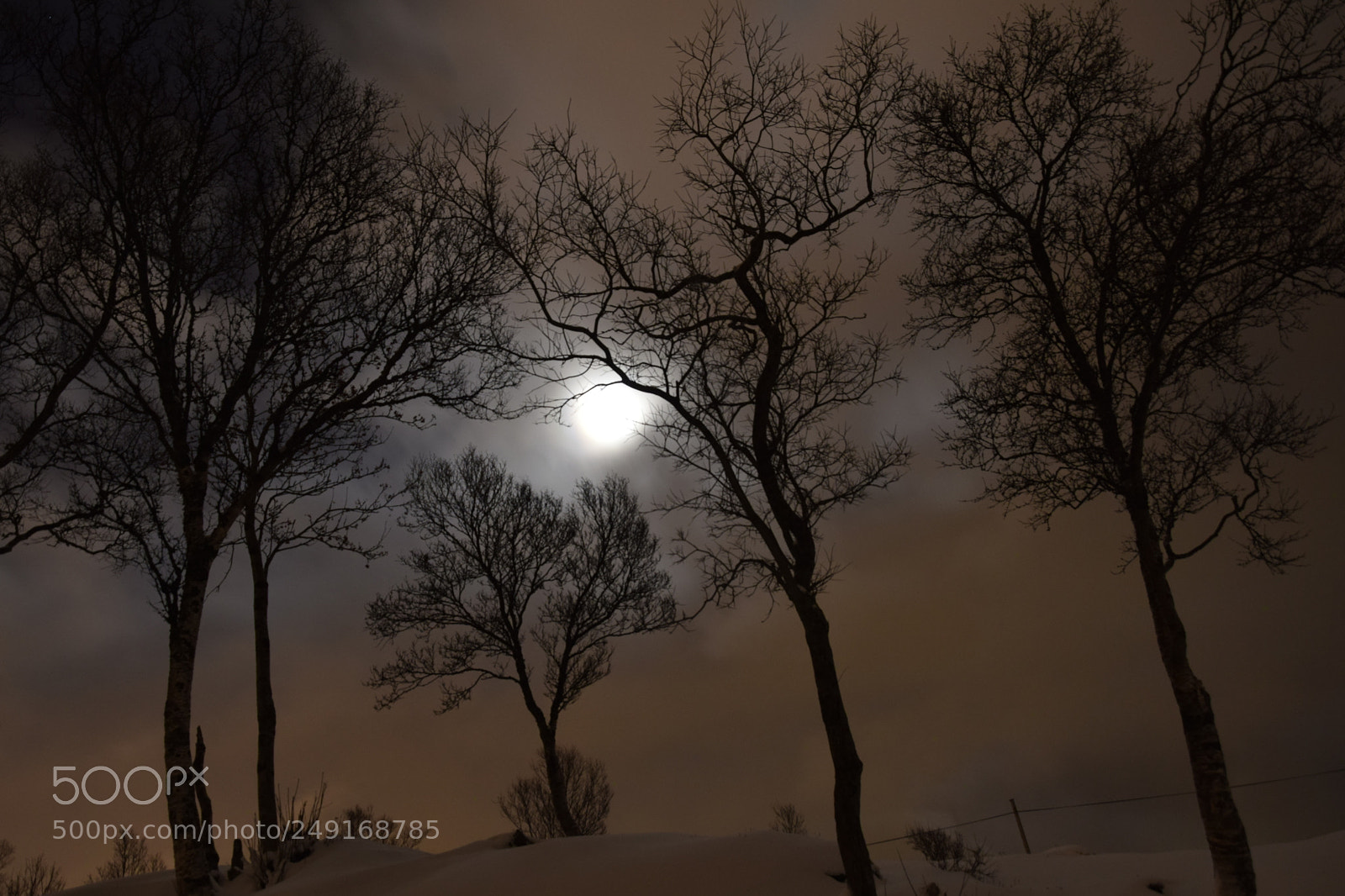 Nikon D5300 sample photo. Moon photography