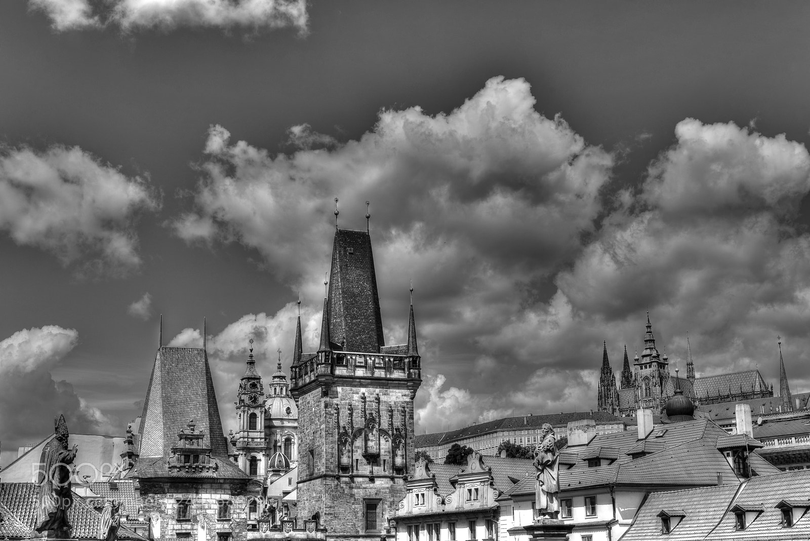 Nikon D610 sample photo. B&w unsual view photography
