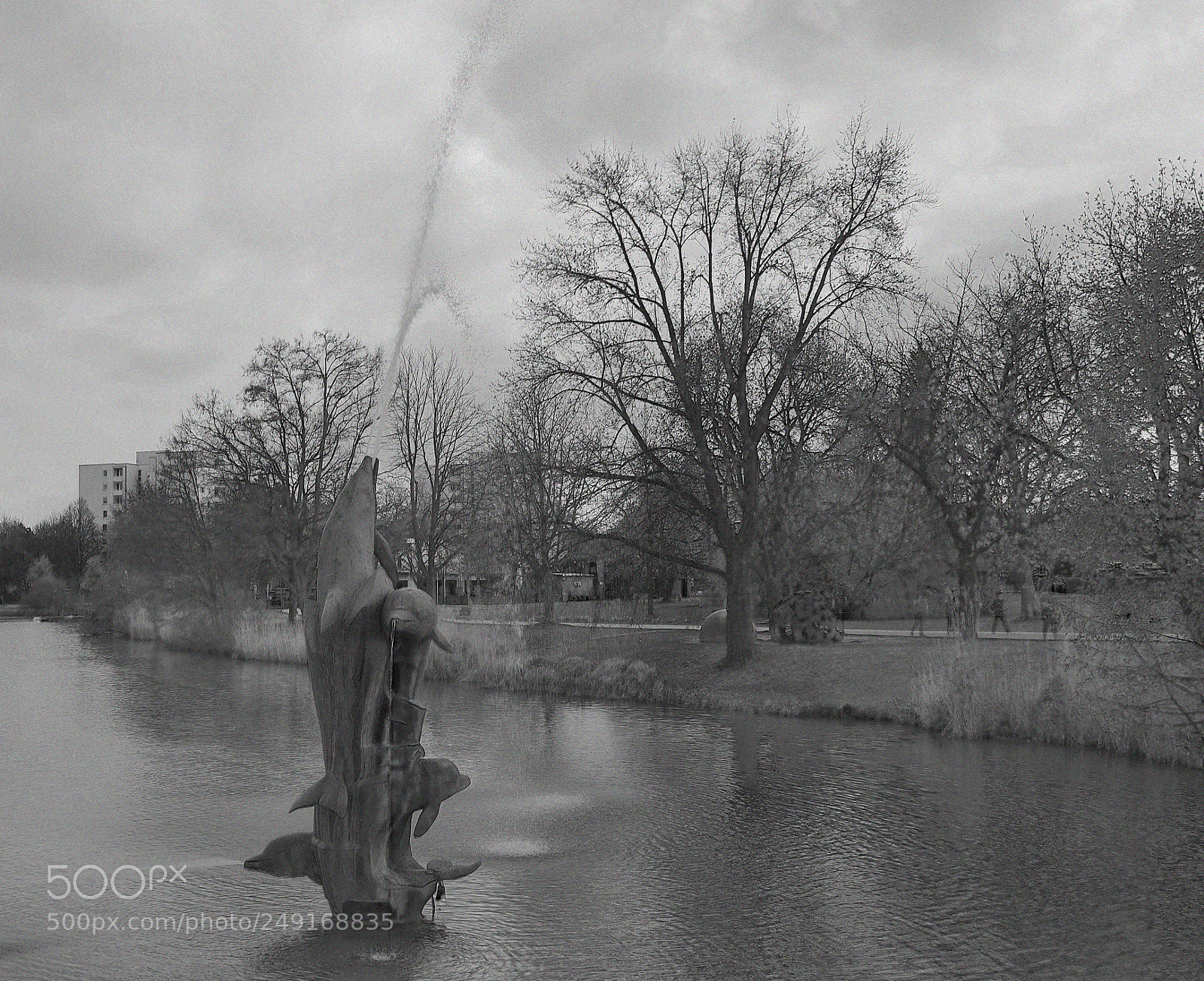 Nikon D610 sample photo. Dol b&w photography