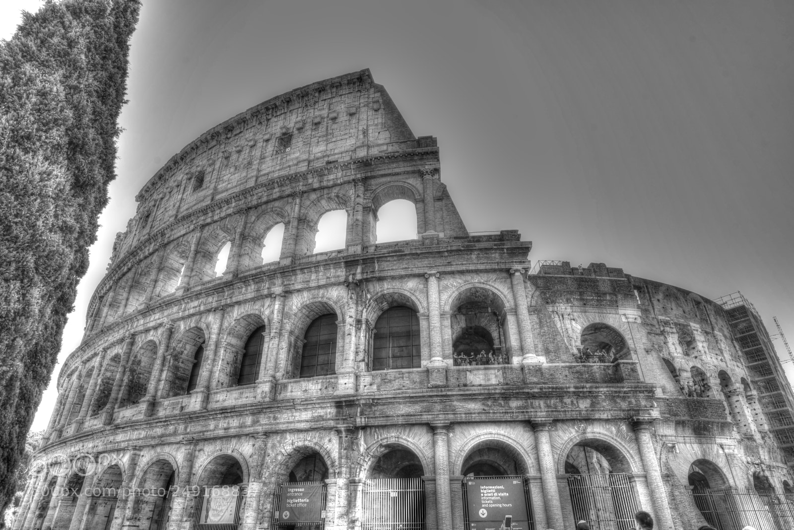 Nikon D610 sample photo. Breaking all the rules photography