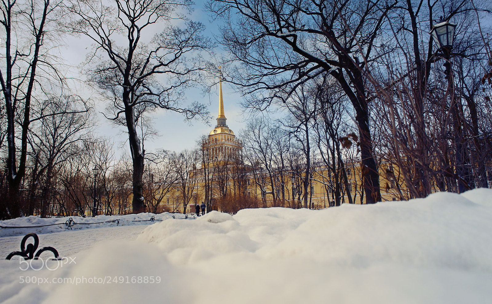 Nikon D700 sample photo. Over snow photography