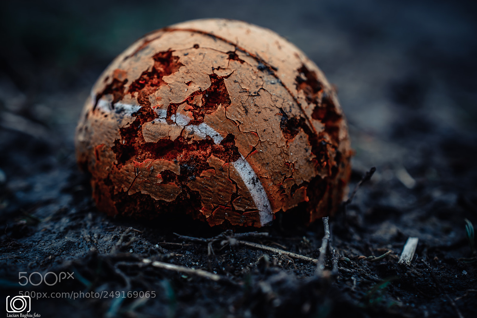 Nikon D5200 sample photo. Old tennis ball photography