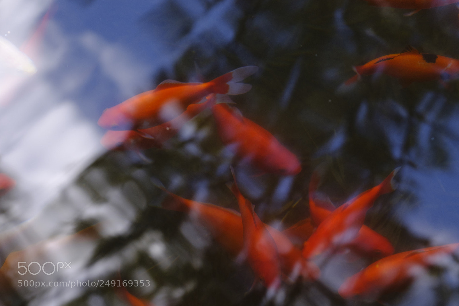 Fujifilm X-H1 sample photo. Dsf photography