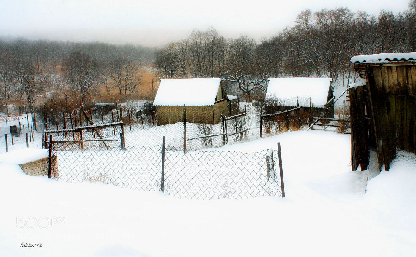 Canon EOS 1100D (EOS Rebel T3 / EOS Kiss X50) sample photo. Img  ❄ ✔ photography
