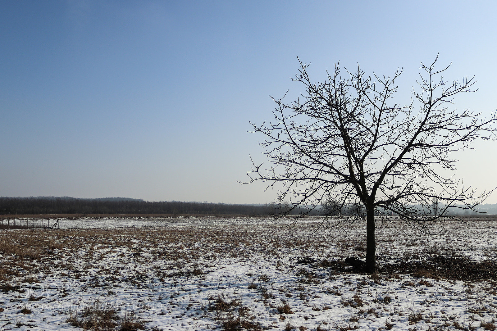 Canon EOS 200D (EOS Rebel SL2 / EOS Kiss X9) sample photo. So lonely. photography