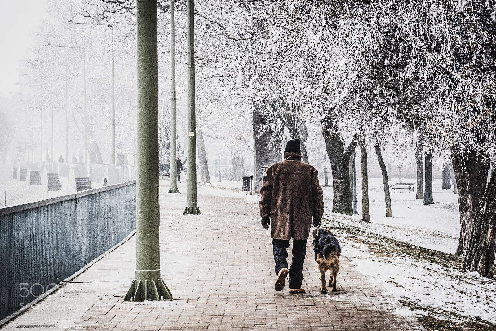 Nikon D610 sample photo. Kfe_4485-2.jpg photography