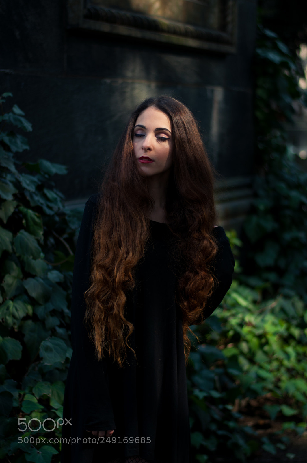 Nikon D5000 sample photo. Ivy and stone photography