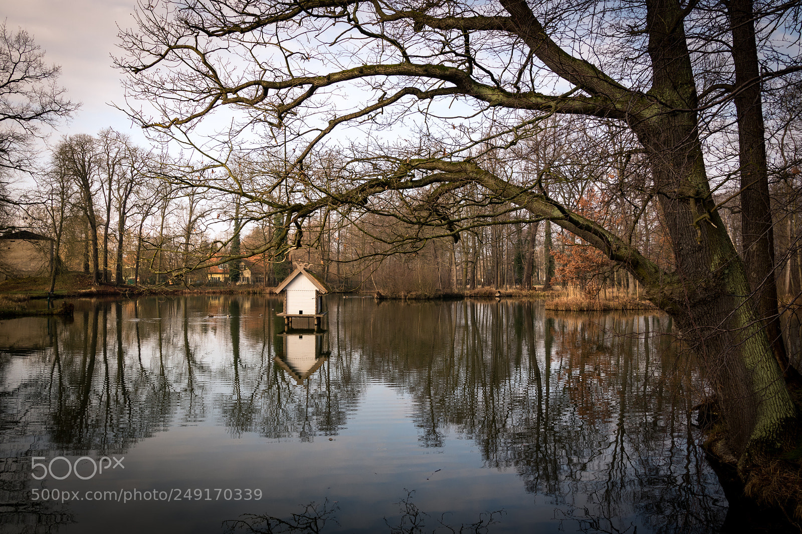 Canon EOS 80D sample photo. Castle pond photography