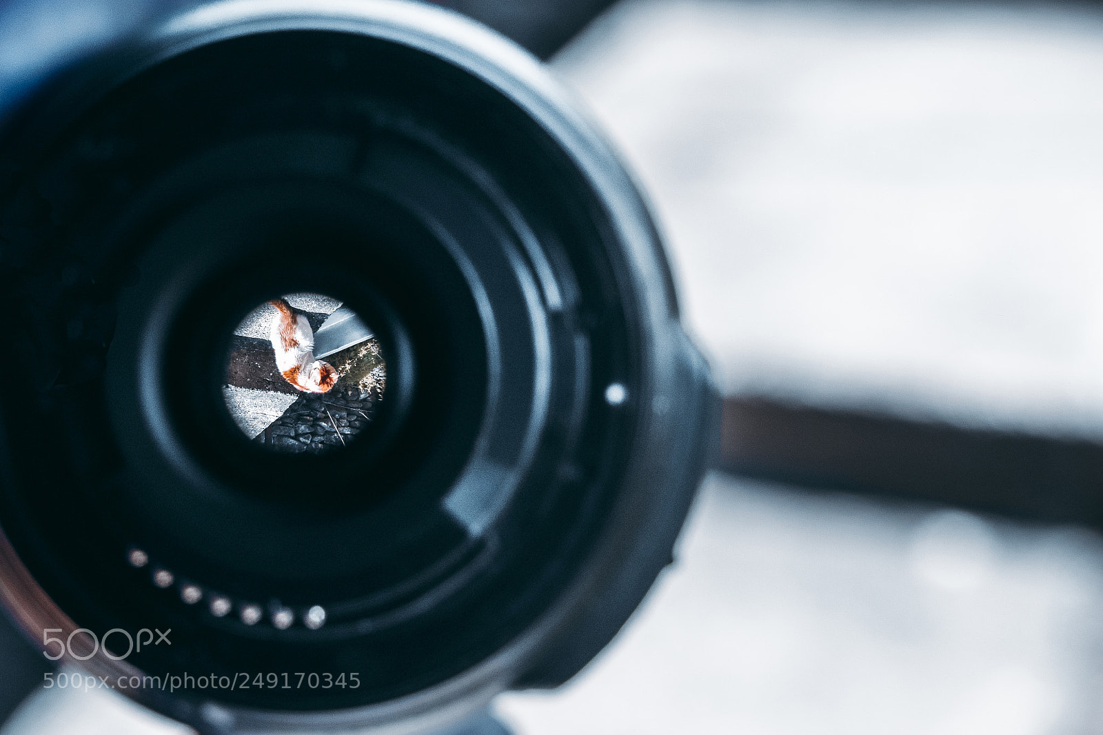 Nikon D5300 sample photo. Seeing through the lens photography