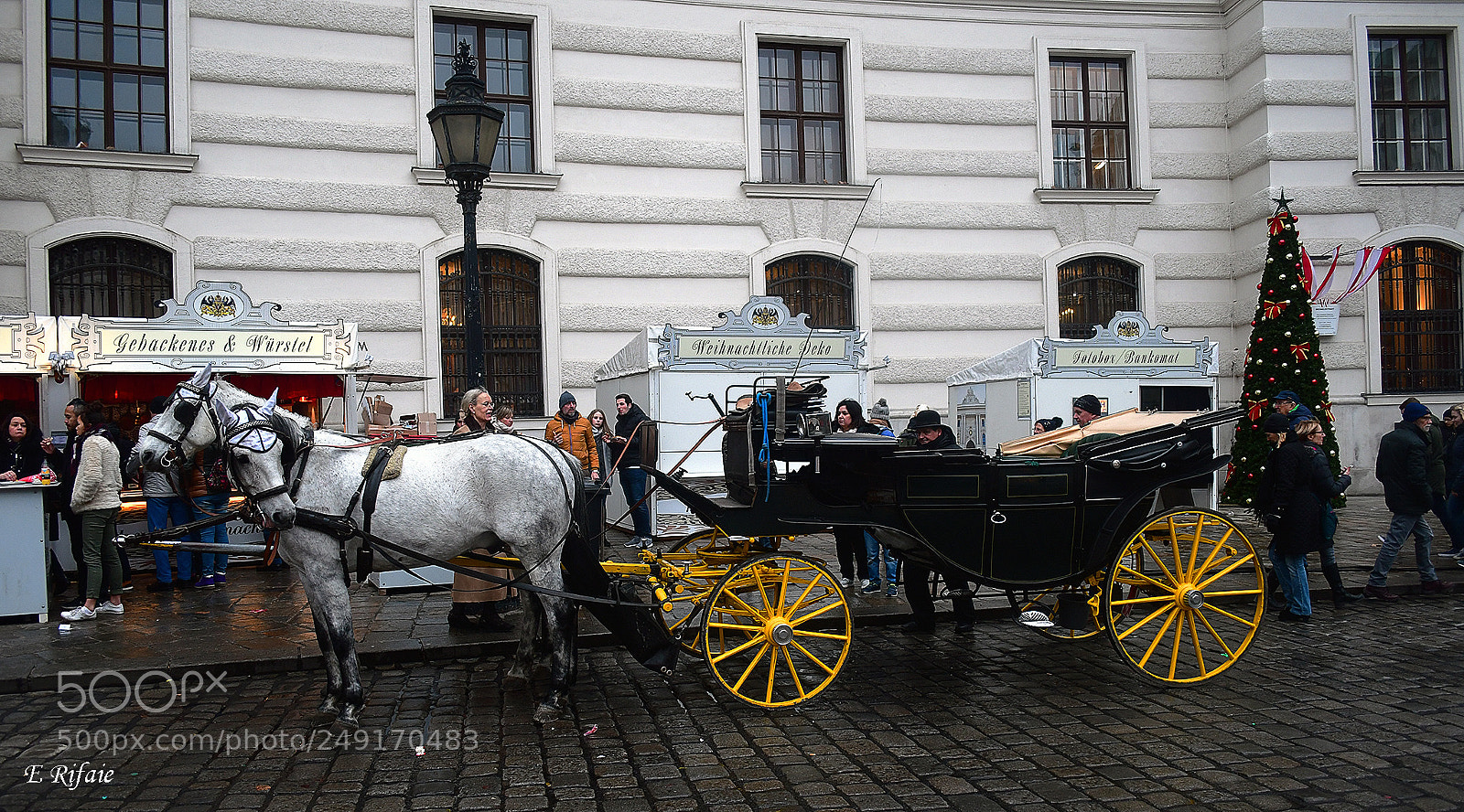 Nikon D7500 sample photo. Horse cart photography