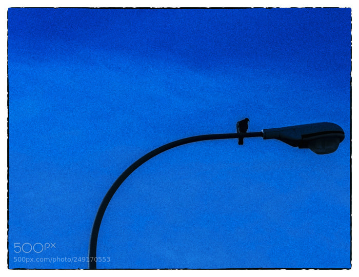 Olympus OM-D E-M1 sample photo. . photography