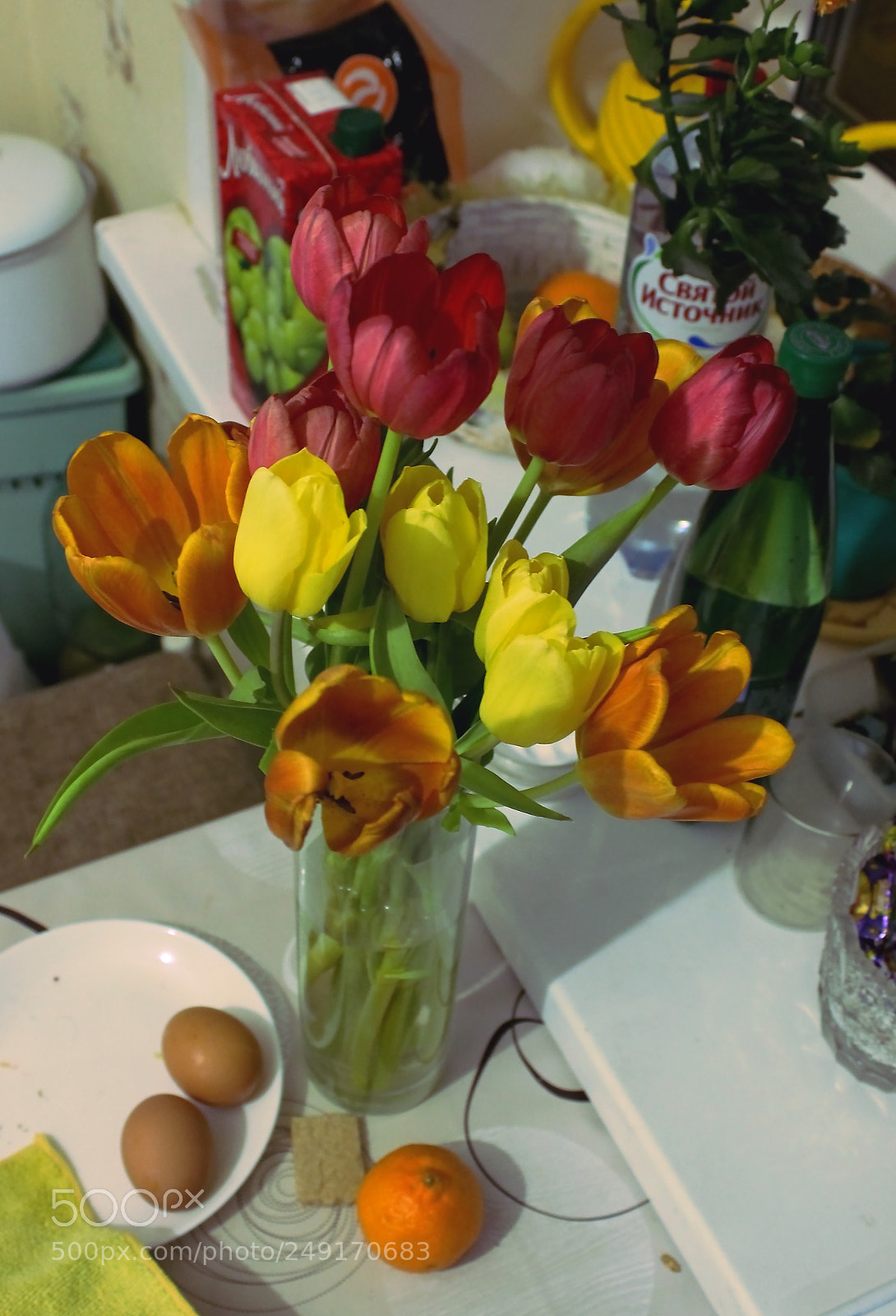 Canon EOS 600D (Rebel EOS T3i / EOS Kiss X5) sample photo. тюльпаны photography