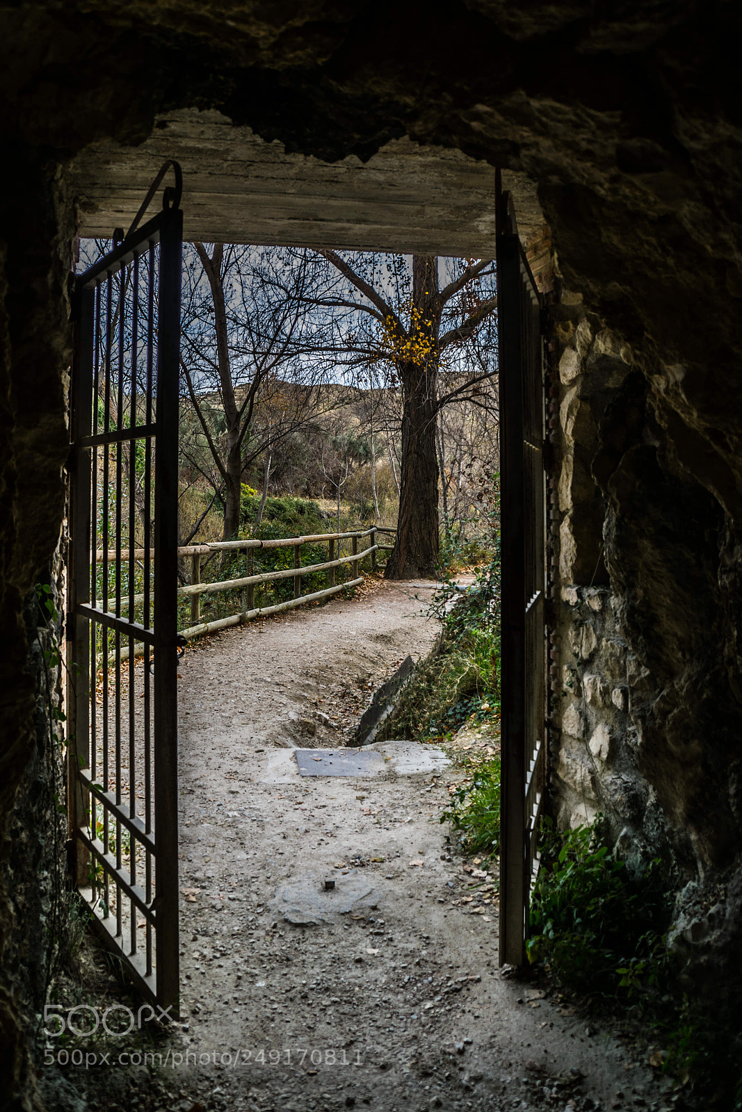 Nikon D5300 sample photo. Untitled photography