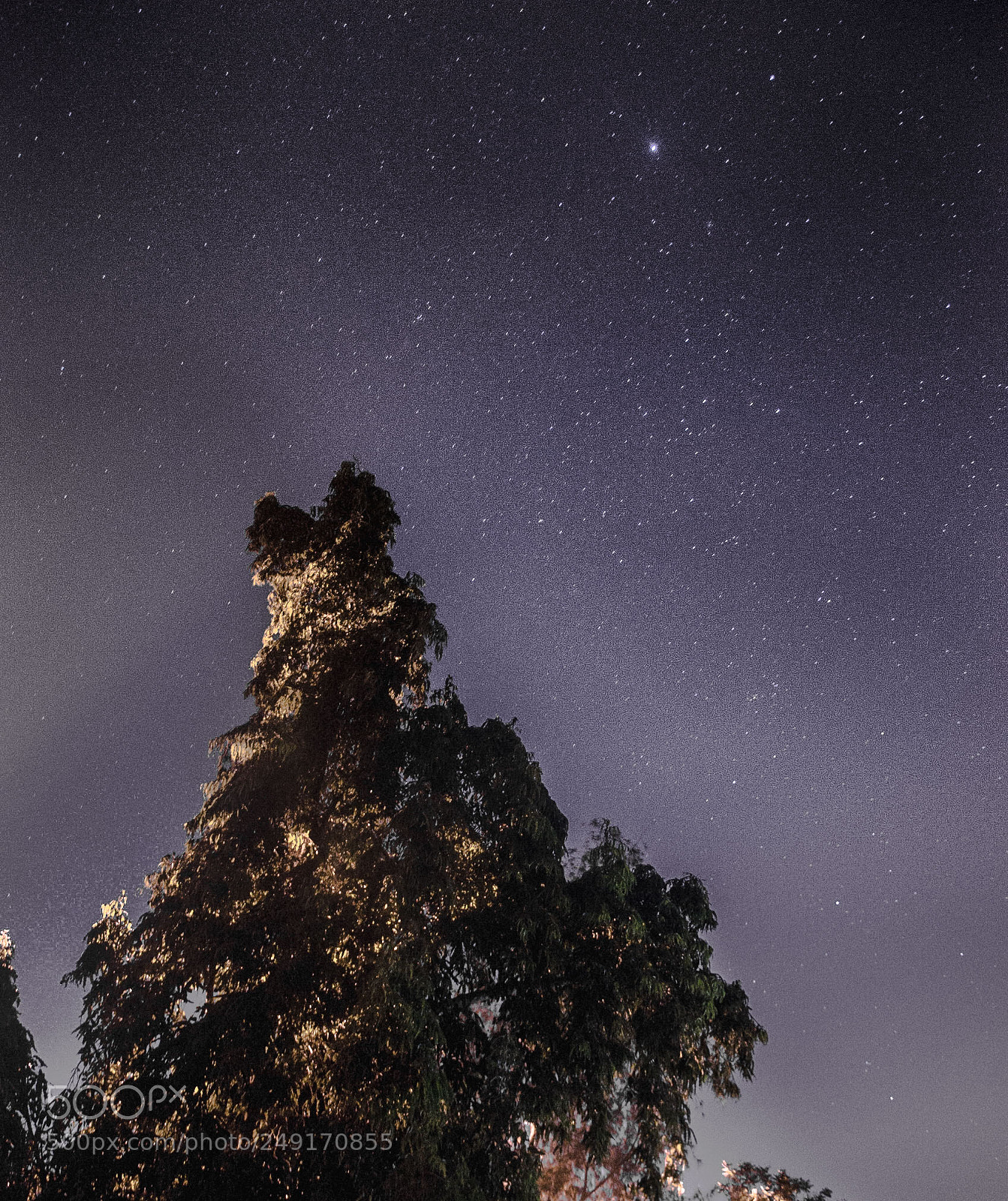 Nikon D7000 sample photo. The lone tree photography