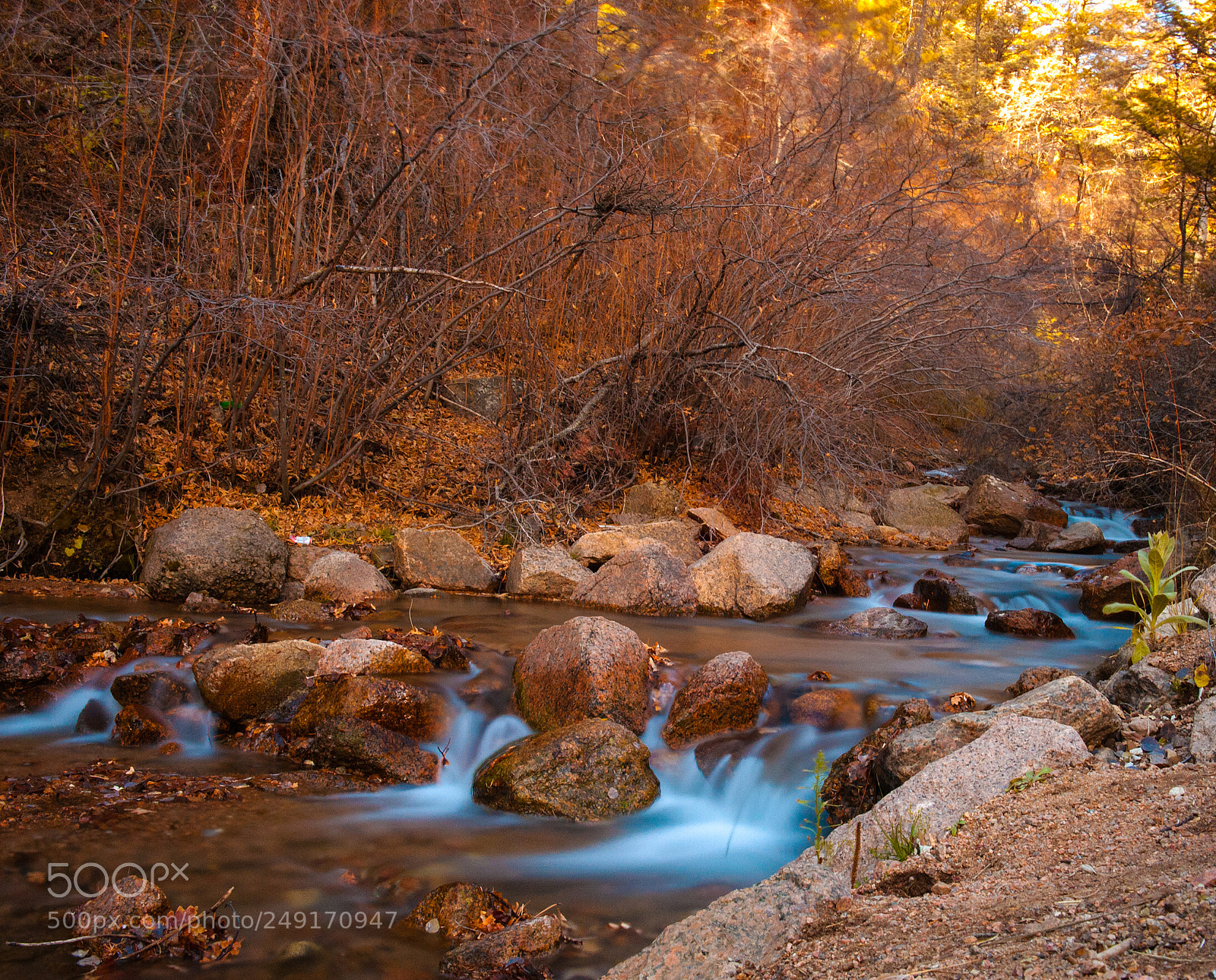 Nikon D3 sample photo. Small creek photography