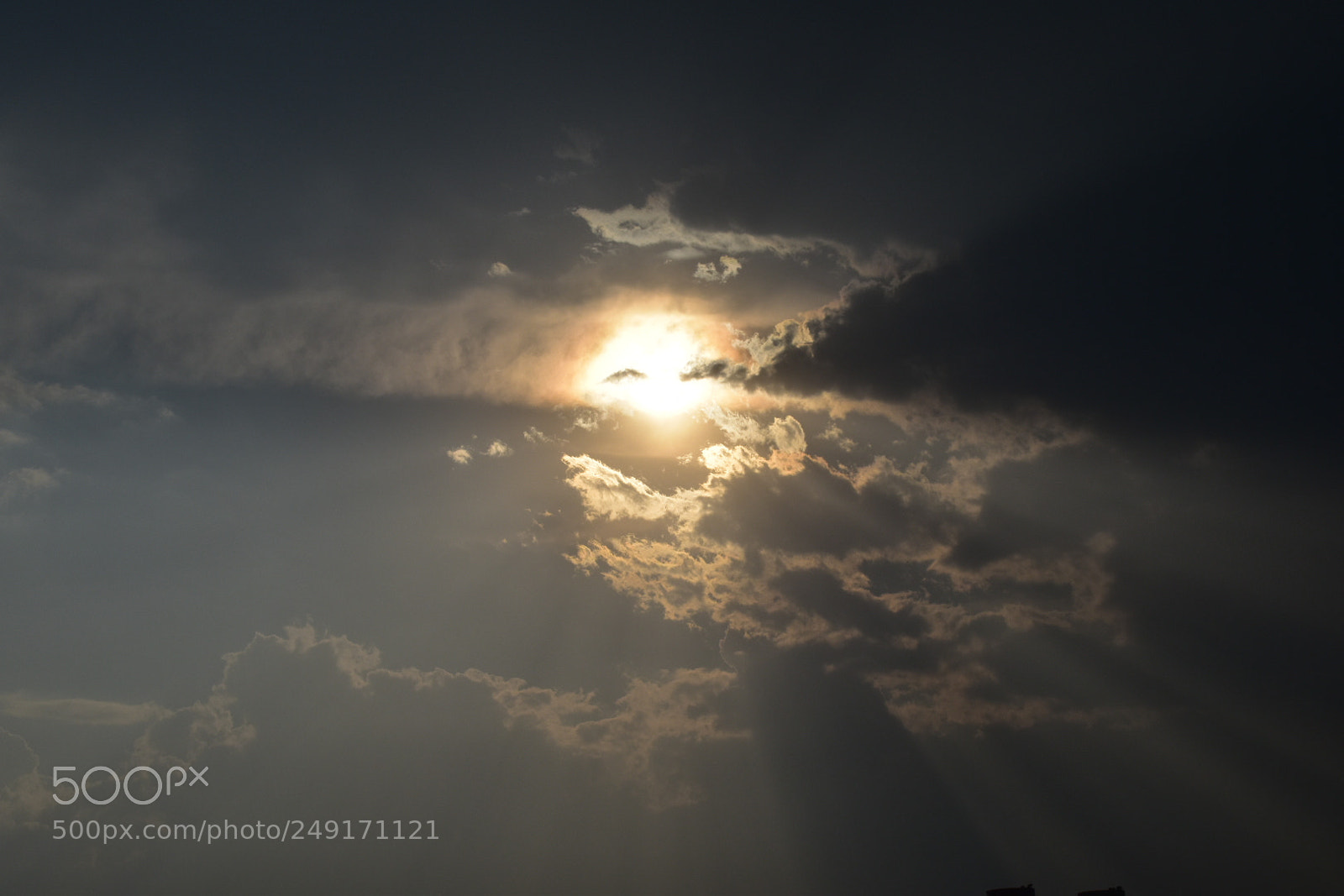 Nikon D5600 sample photo. Untitled photography