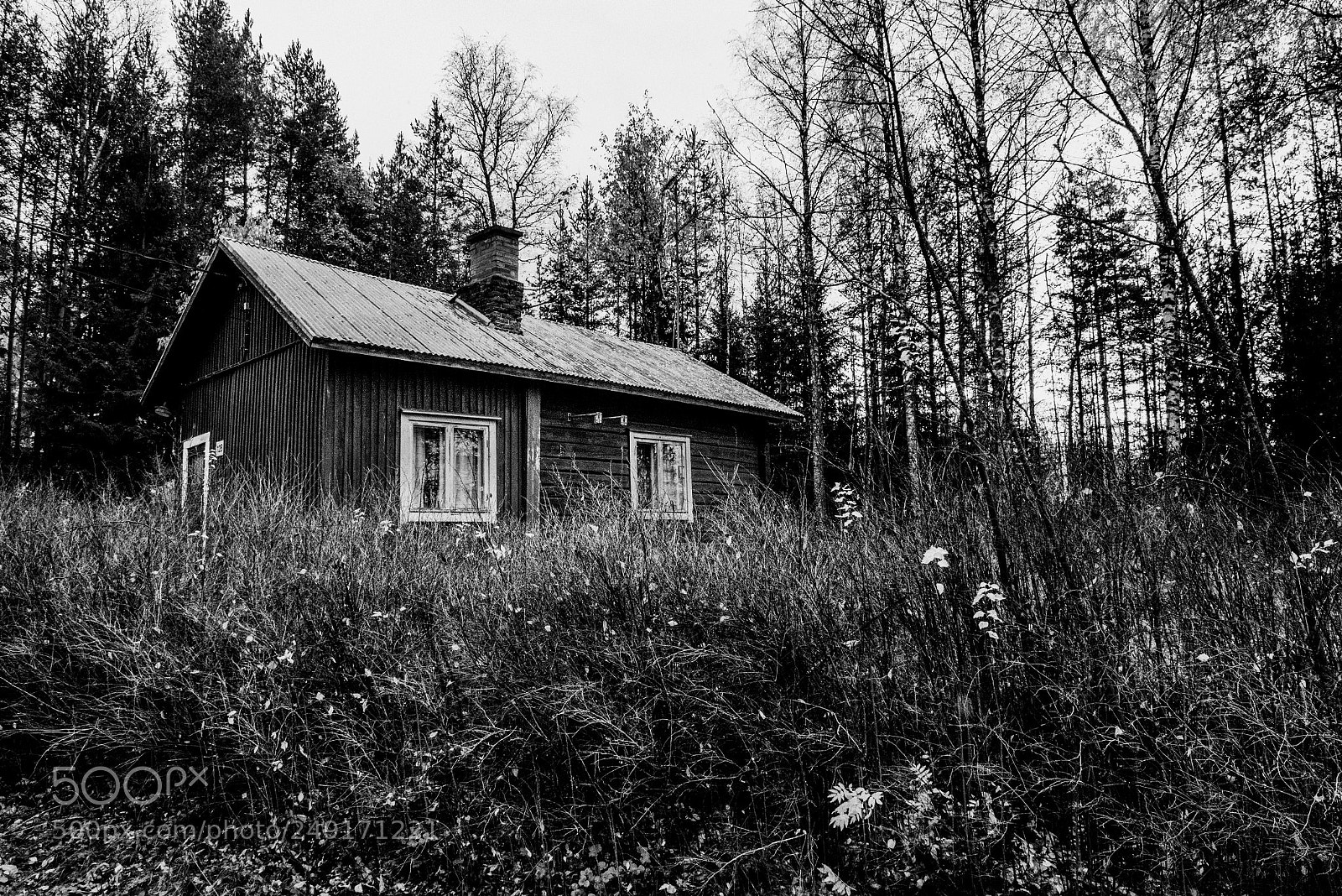 Nikon D600 sample photo. Untitled photography