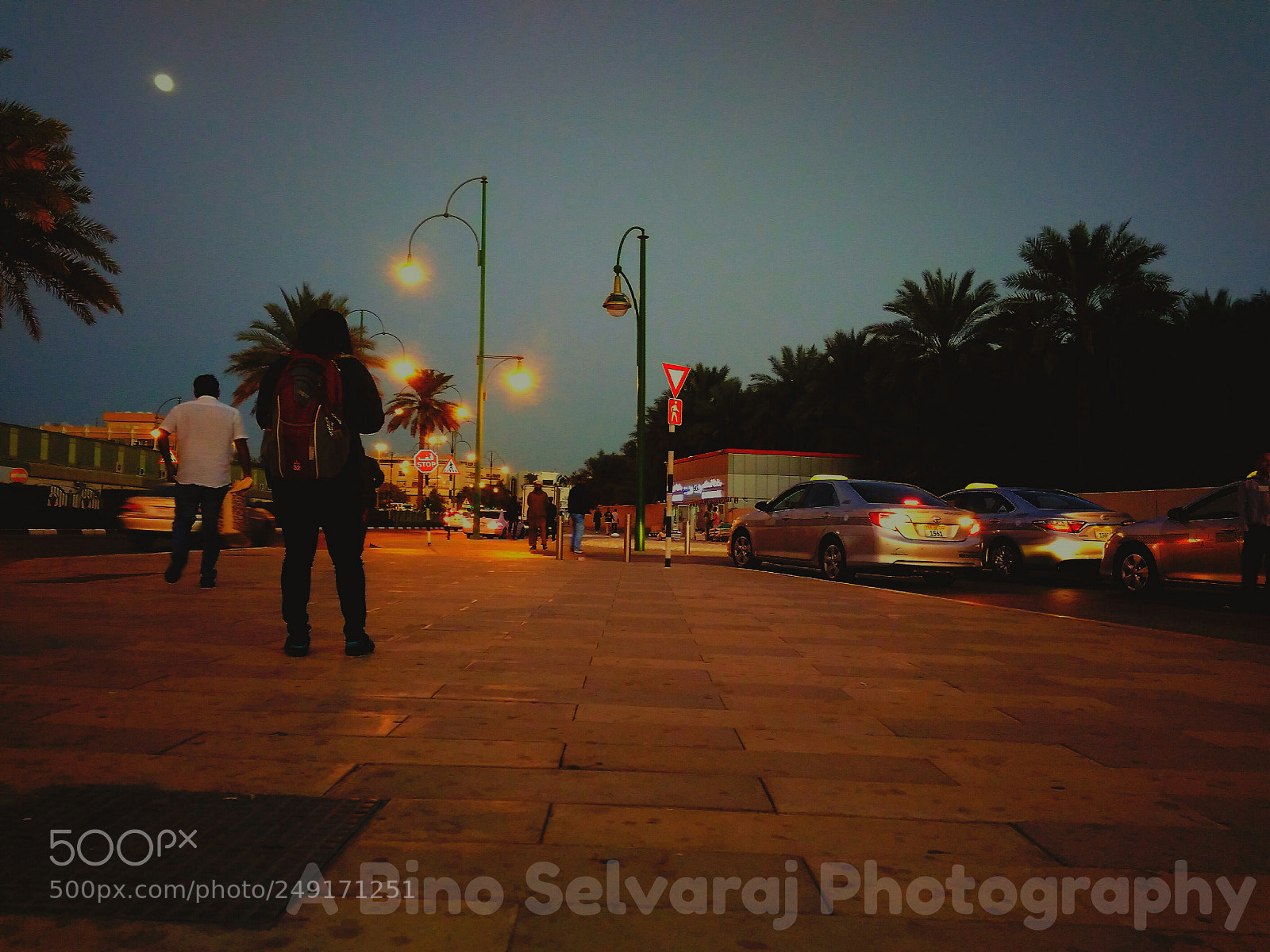 Xiaomi Redmi 4A sample photo. A moon walk photography
