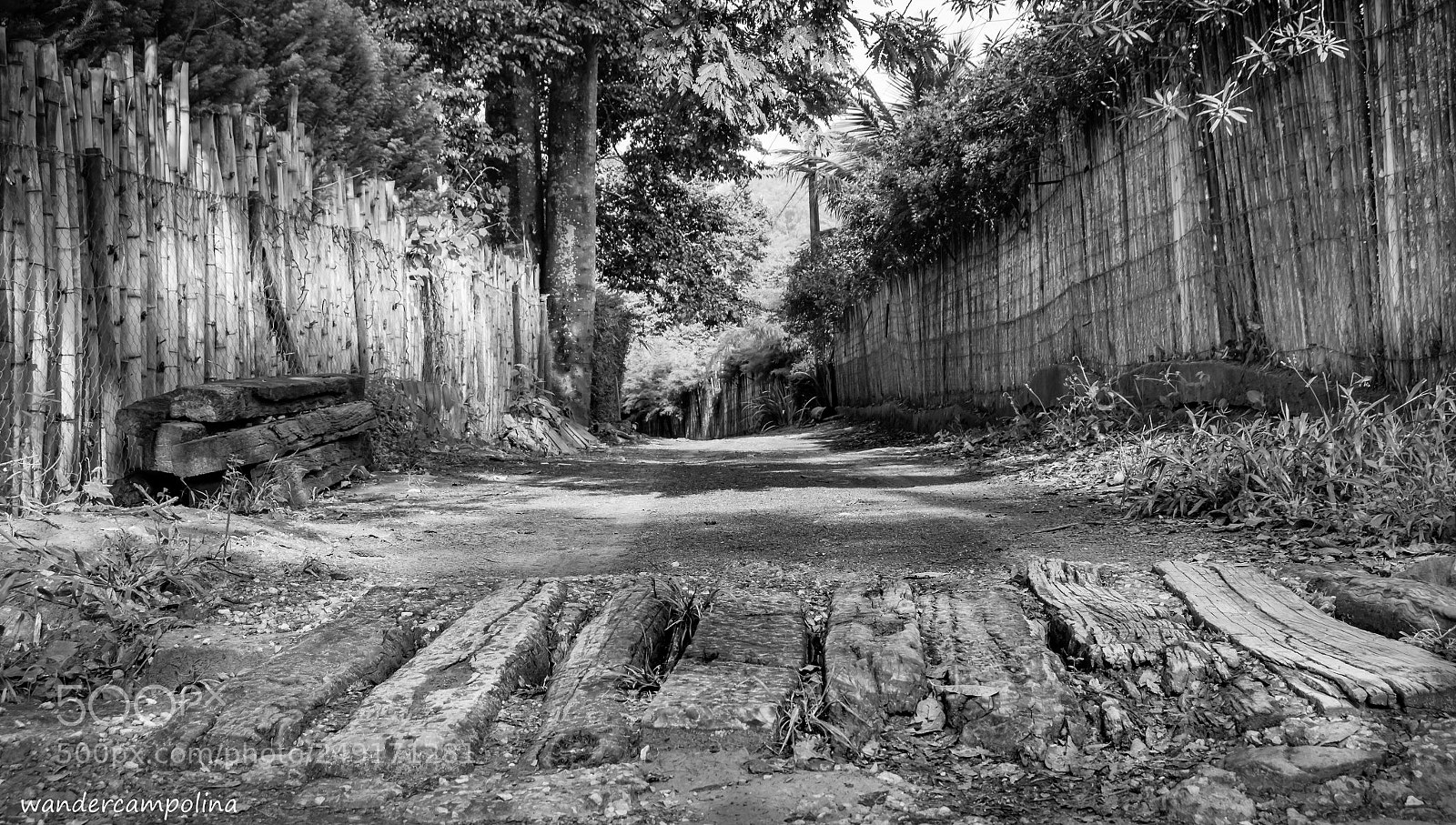 Canon EOS 700D (EOS Rebel T5i / EOS Kiss X7i) sample photo. The pathway photography