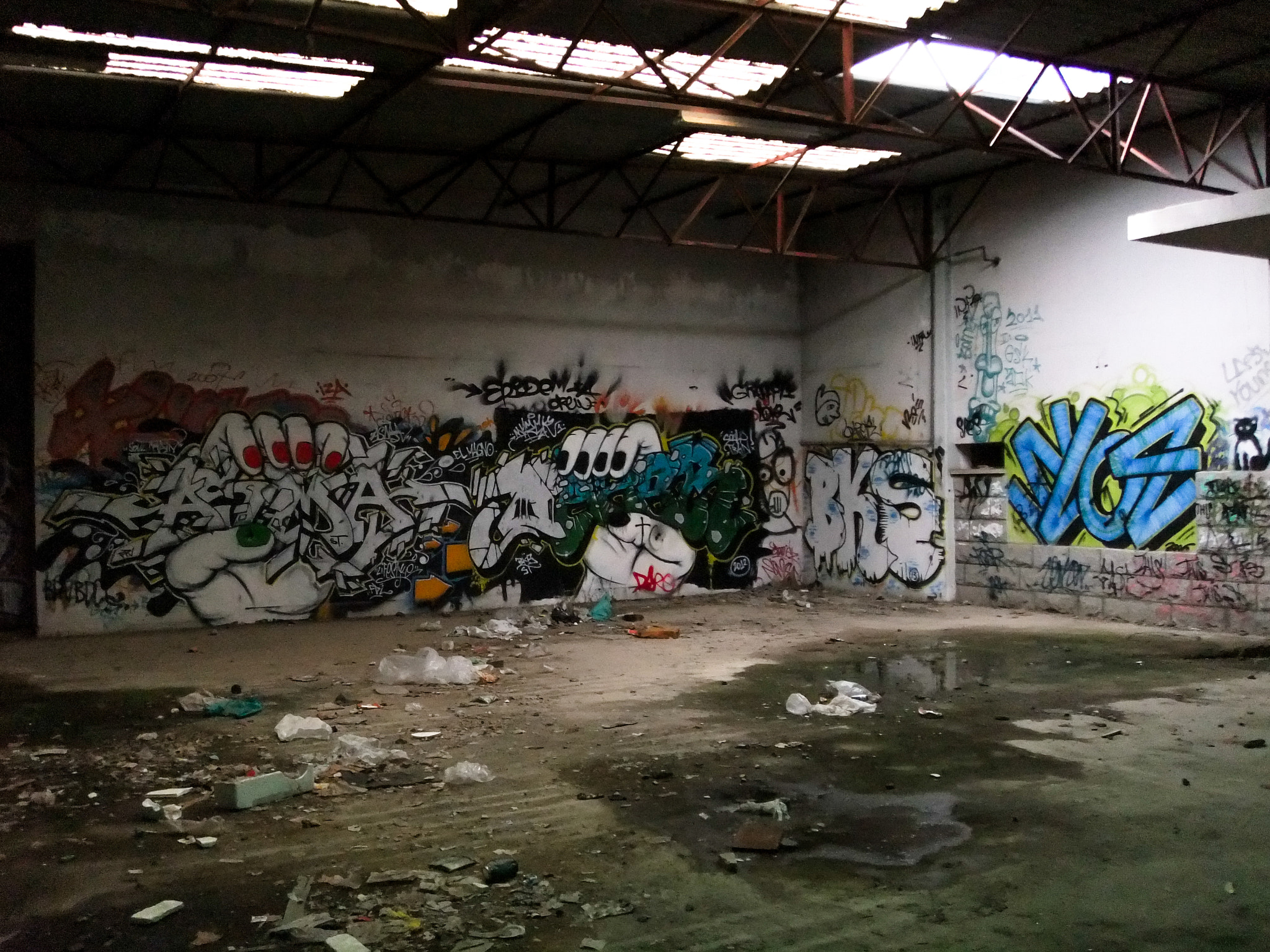 FujiFilm FinePix Z800EXR (FinePix Z808EXR) sample photo. Graffiti in abandoned factory iii photography