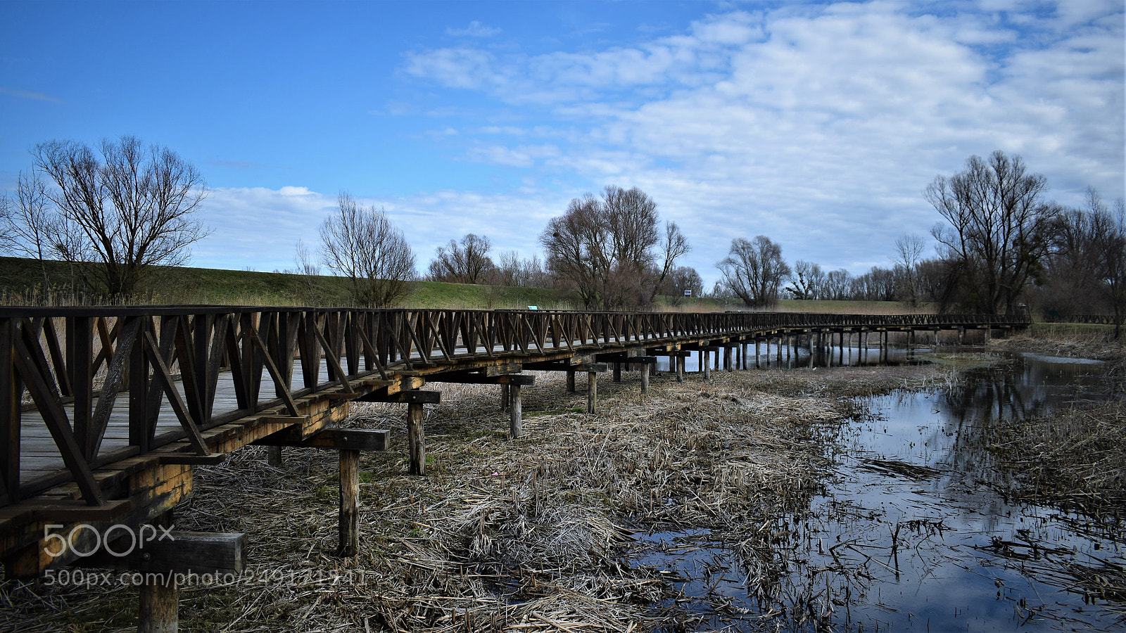 Nikon D5300 sample photo. Baranja,kopački rit photography