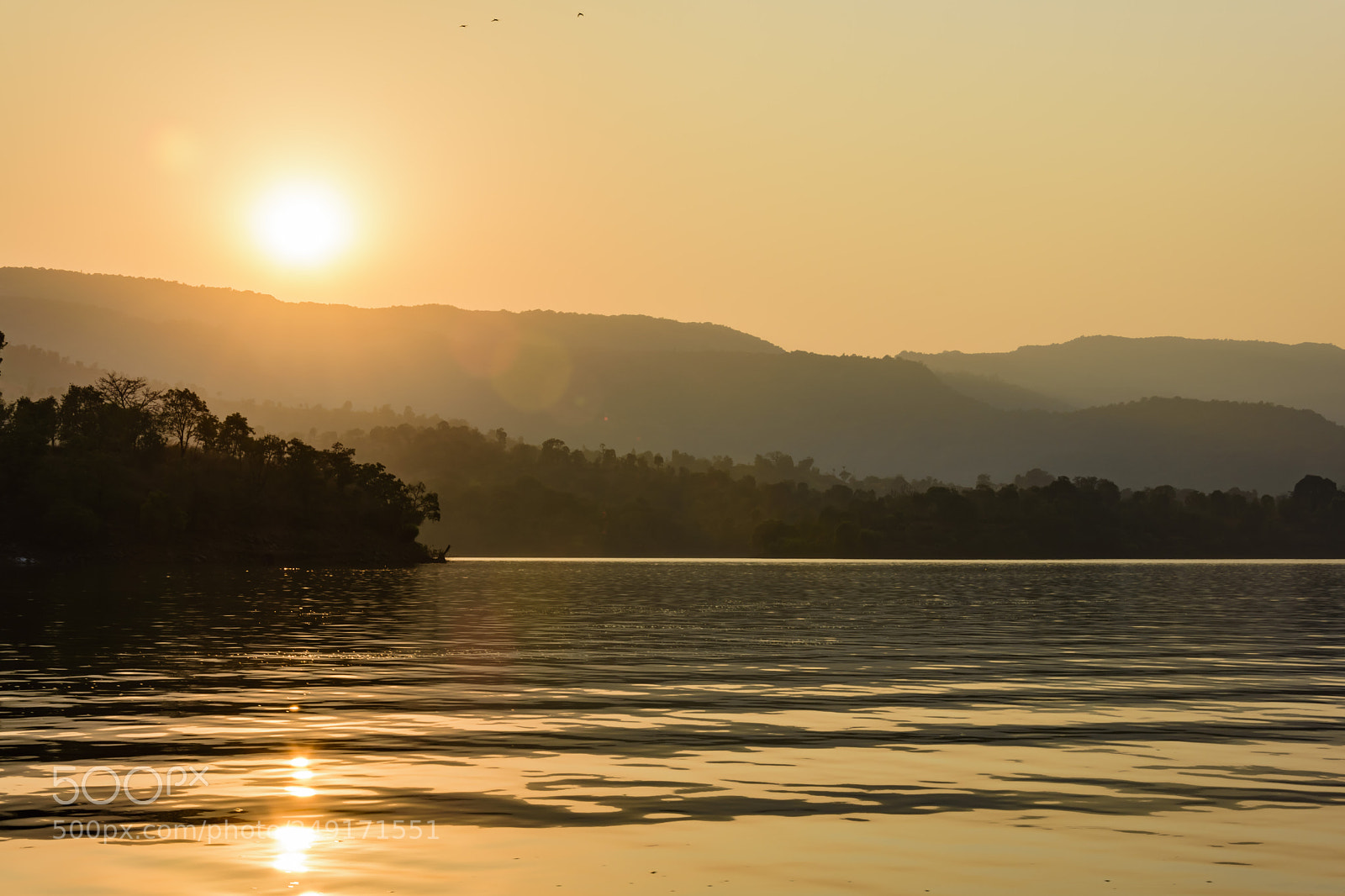 Nikon D7200 sample photo. Golden photography