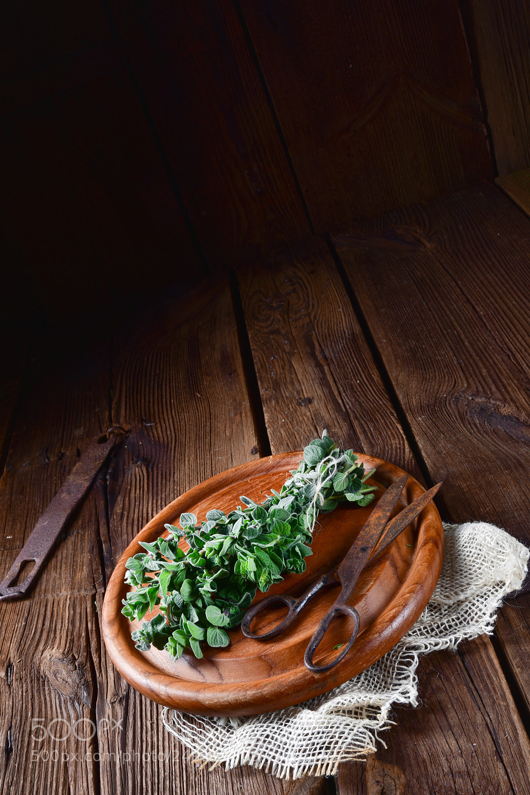 Nikon D810 sample photo. Aromatische oregano (origanum vulgare) photography