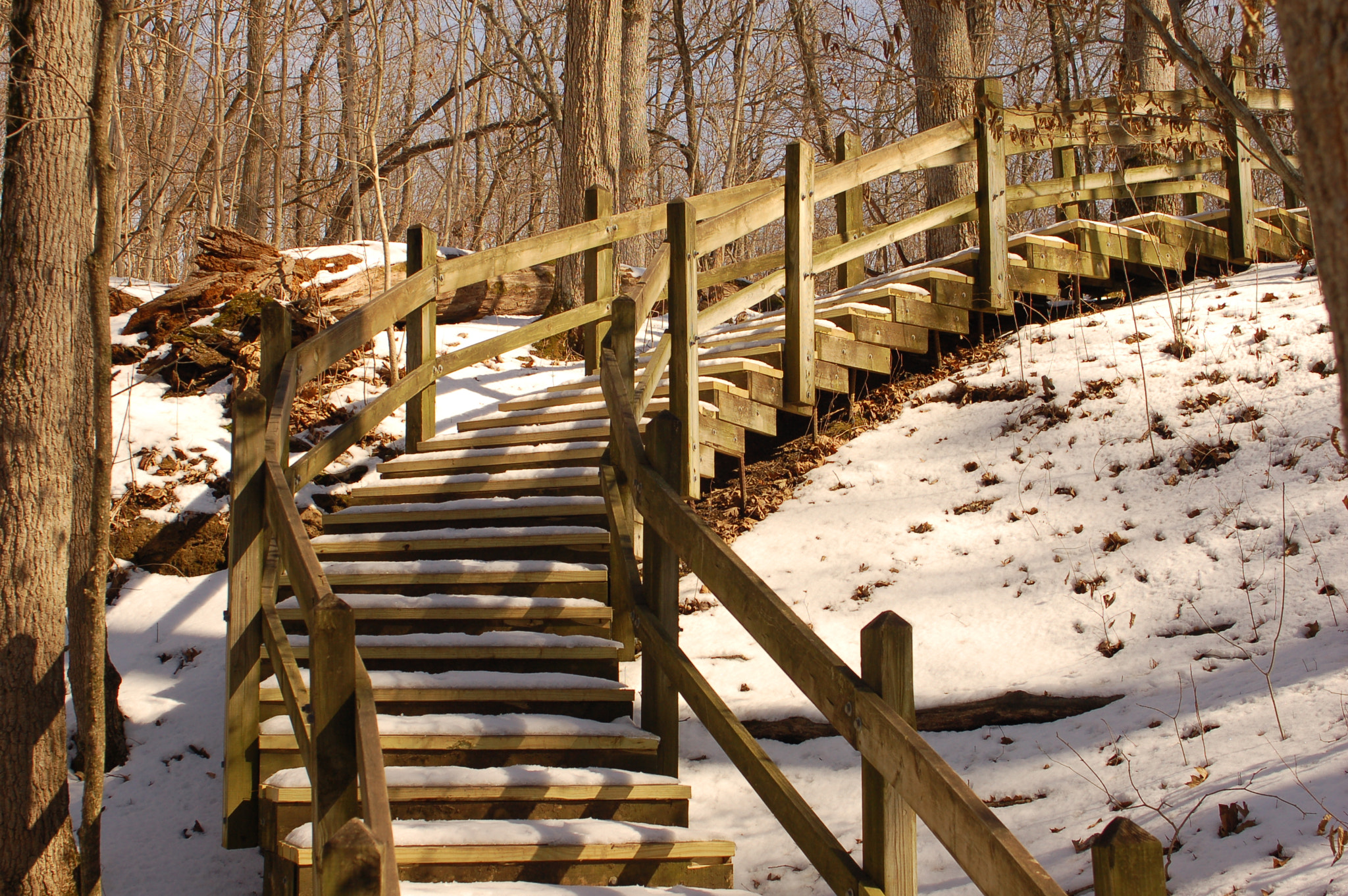 Nikon D50 sample photo. Snow covered stairway photography