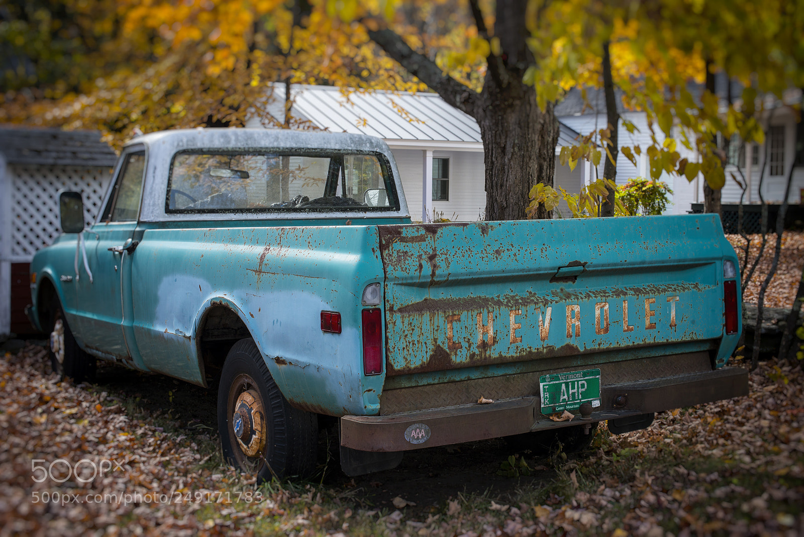 Nikon D800 sample photo. Untitled photography