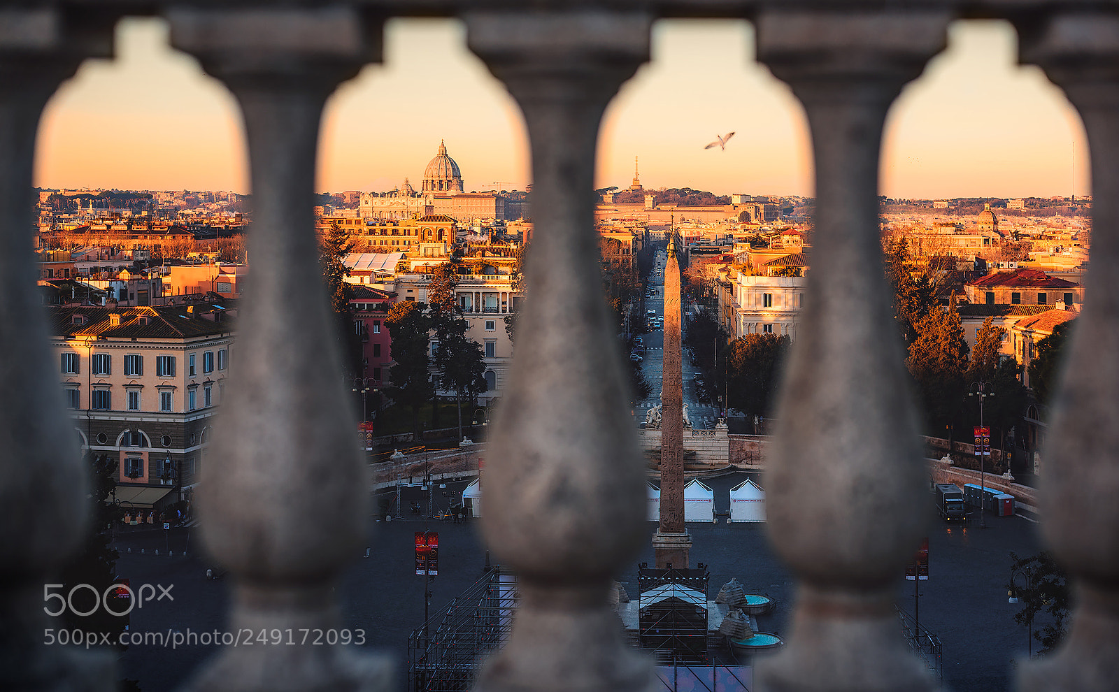 Nikon D810 sample photo. First light of the photography