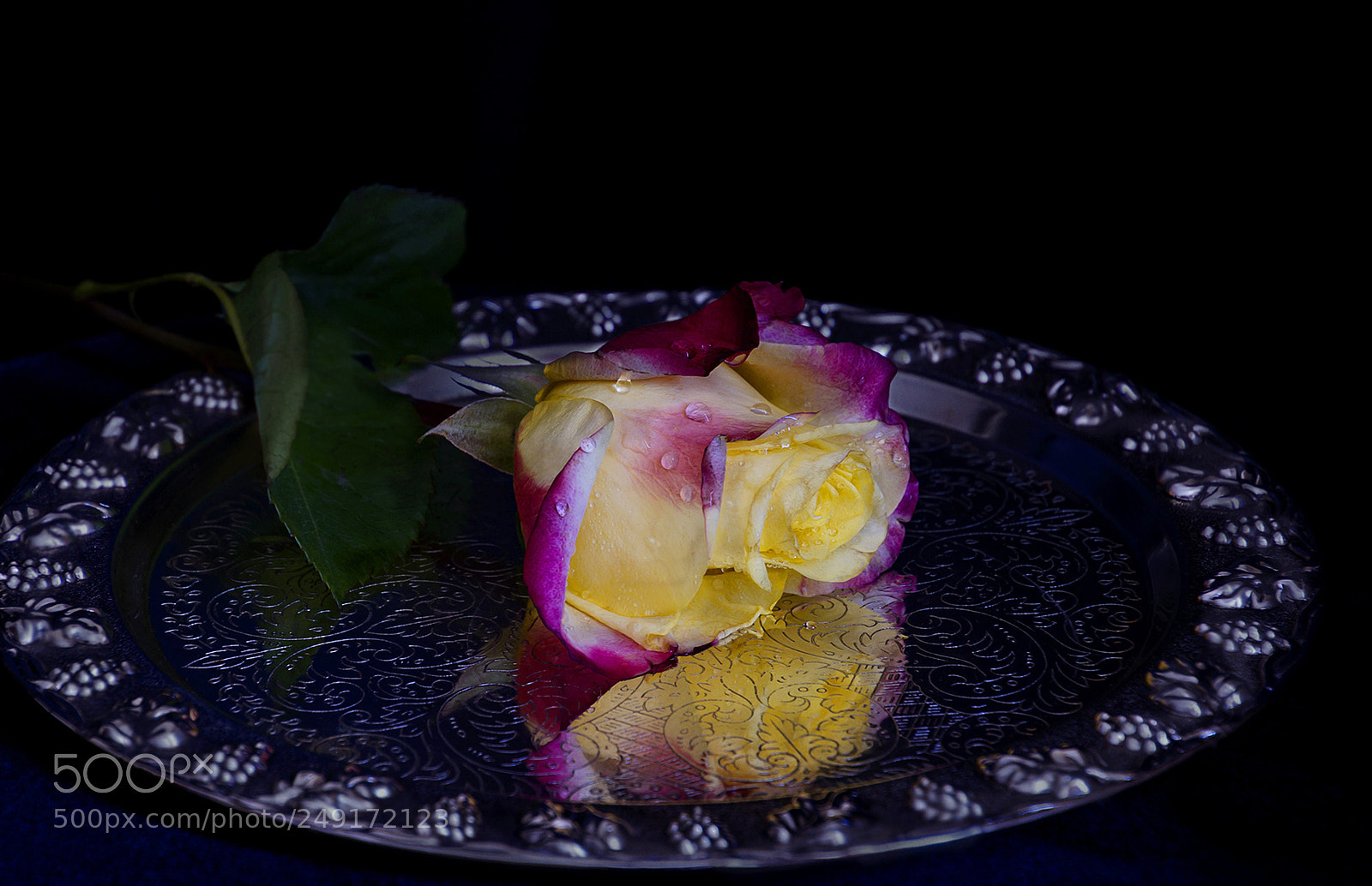 Nikon D7000 sample photo. Королева красоты. photography