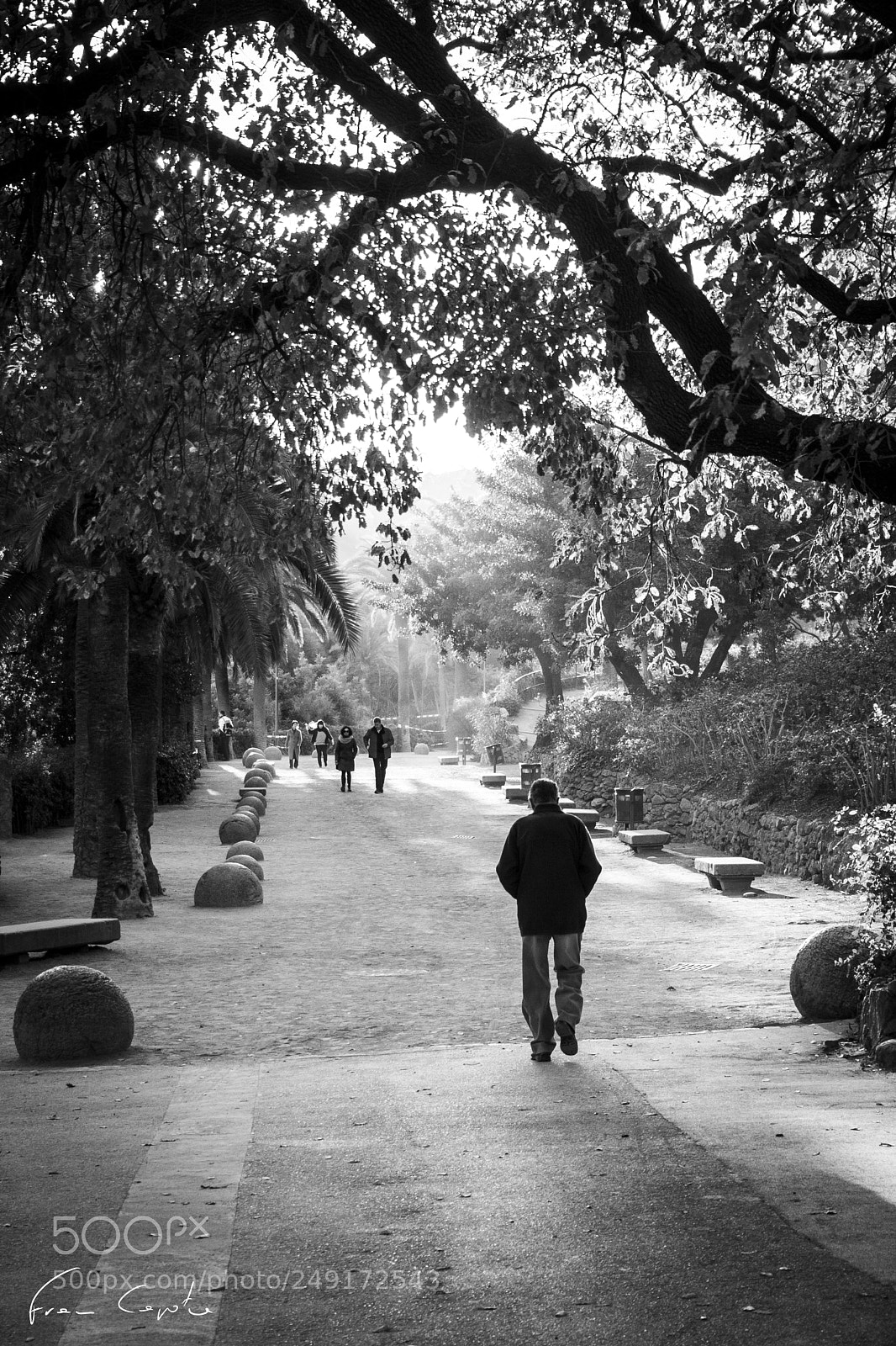 Canon EOS 350D (EOS Digital Rebel XT / EOS Kiss Digital N) sample photo. Walking photography