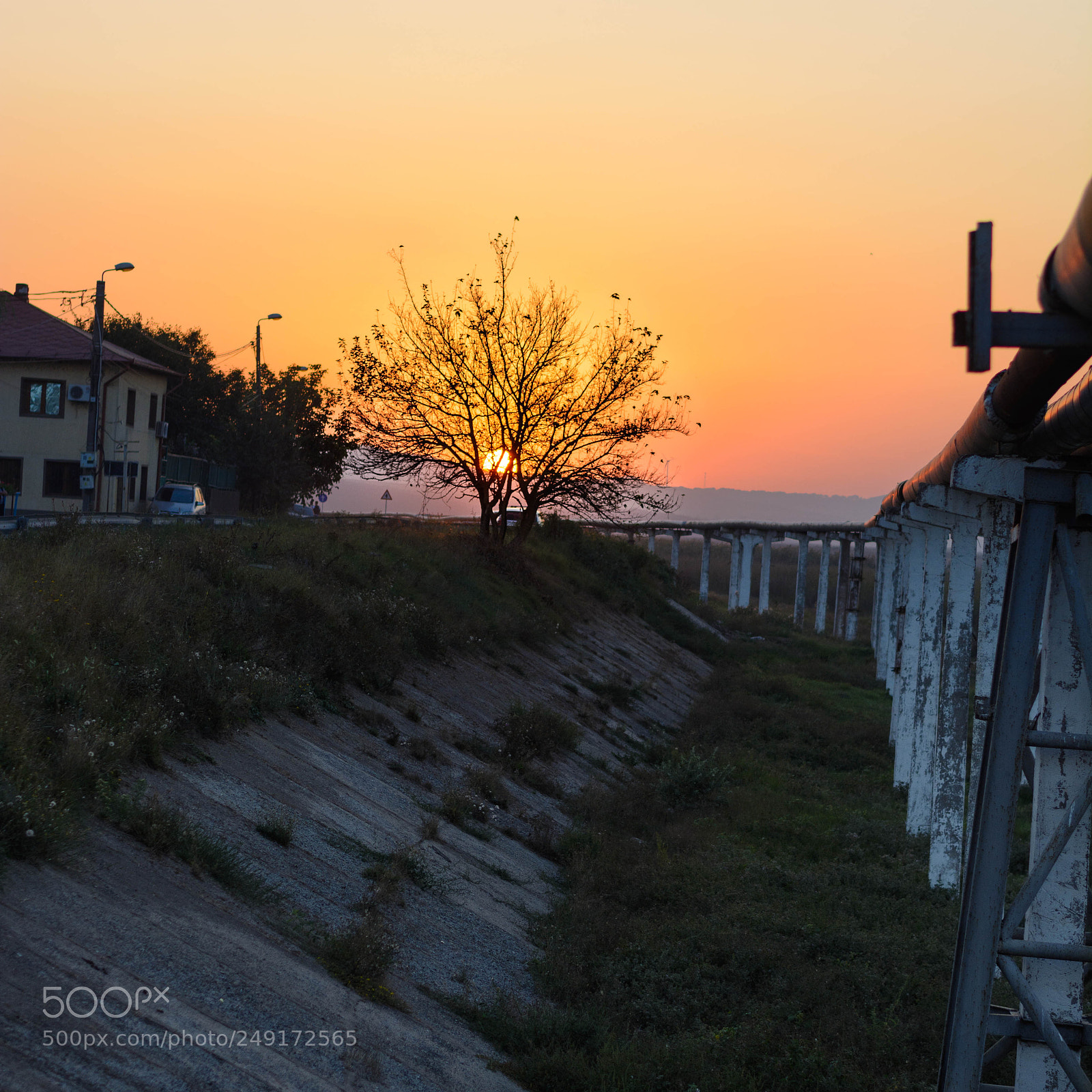 Nikon D5200 sample photo. Suntree photography