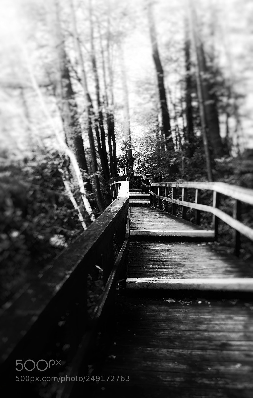 Samsung Galaxy S5 sample photo. Untitled photography