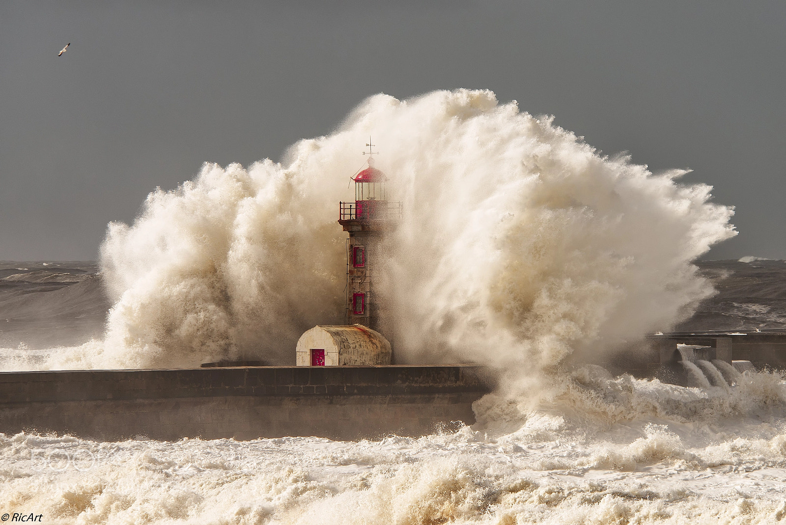Nikon D800 sample photo. When the storm arrives photography