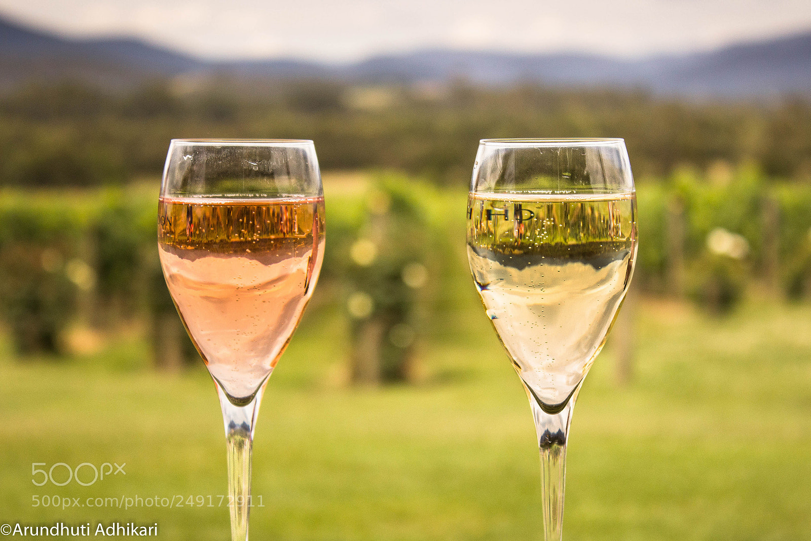 Canon EOS 600D (Rebel EOS T3i / EOS Kiss X5) sample photo. Toast to life photography