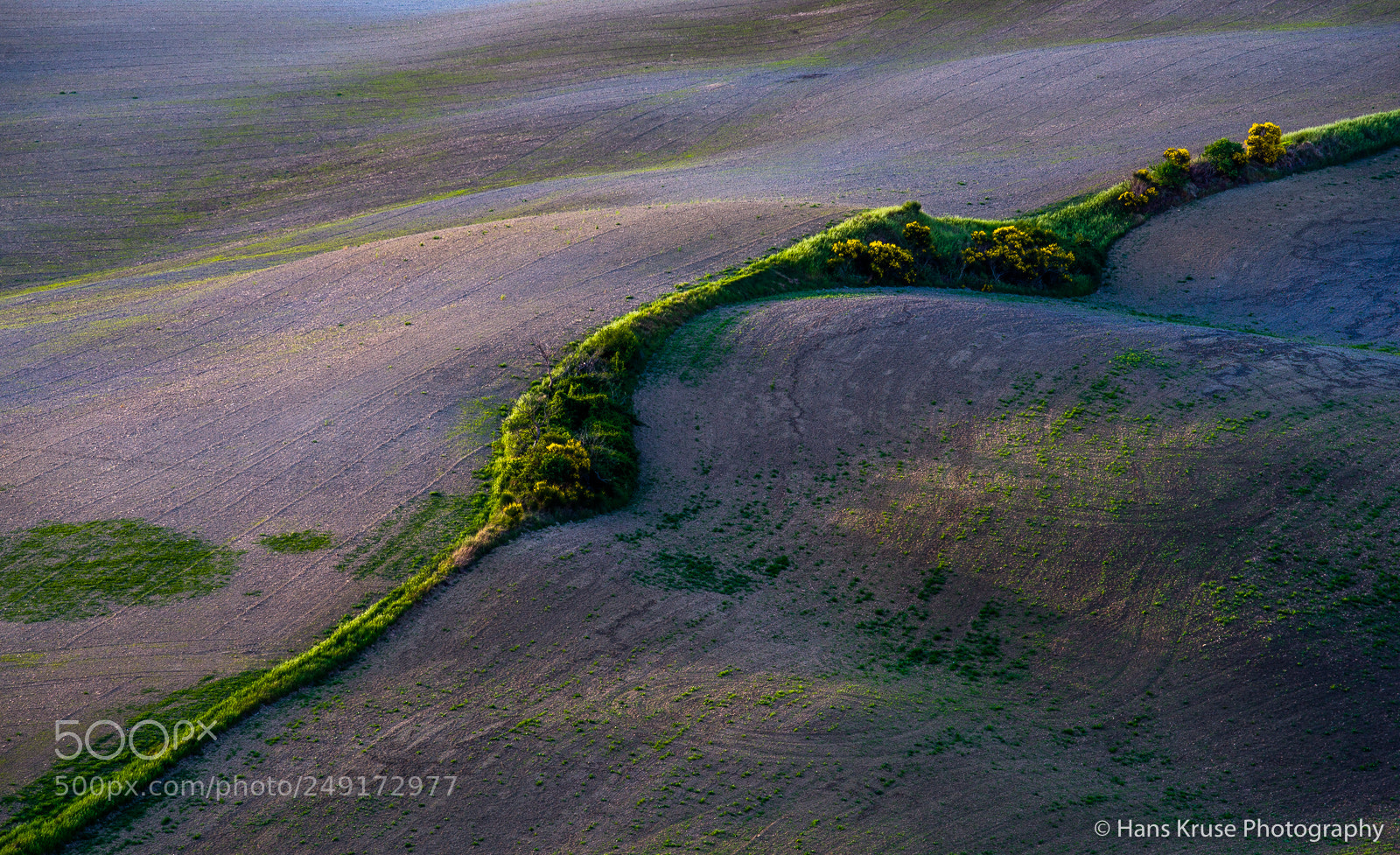 Nikon D810 sample photo. Tuscany light photography