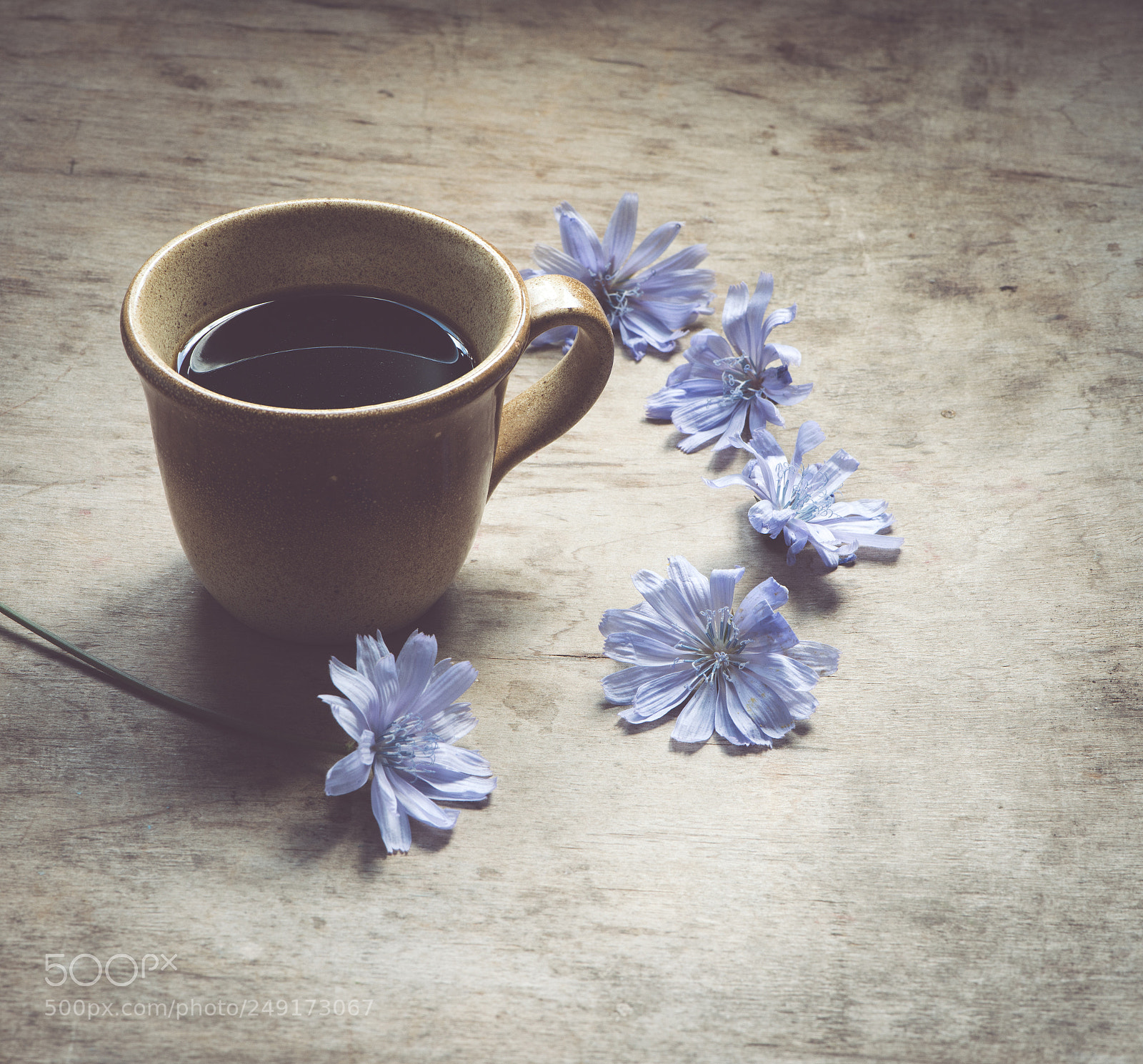 Nikon D800E sample photo. Chicory drink photography